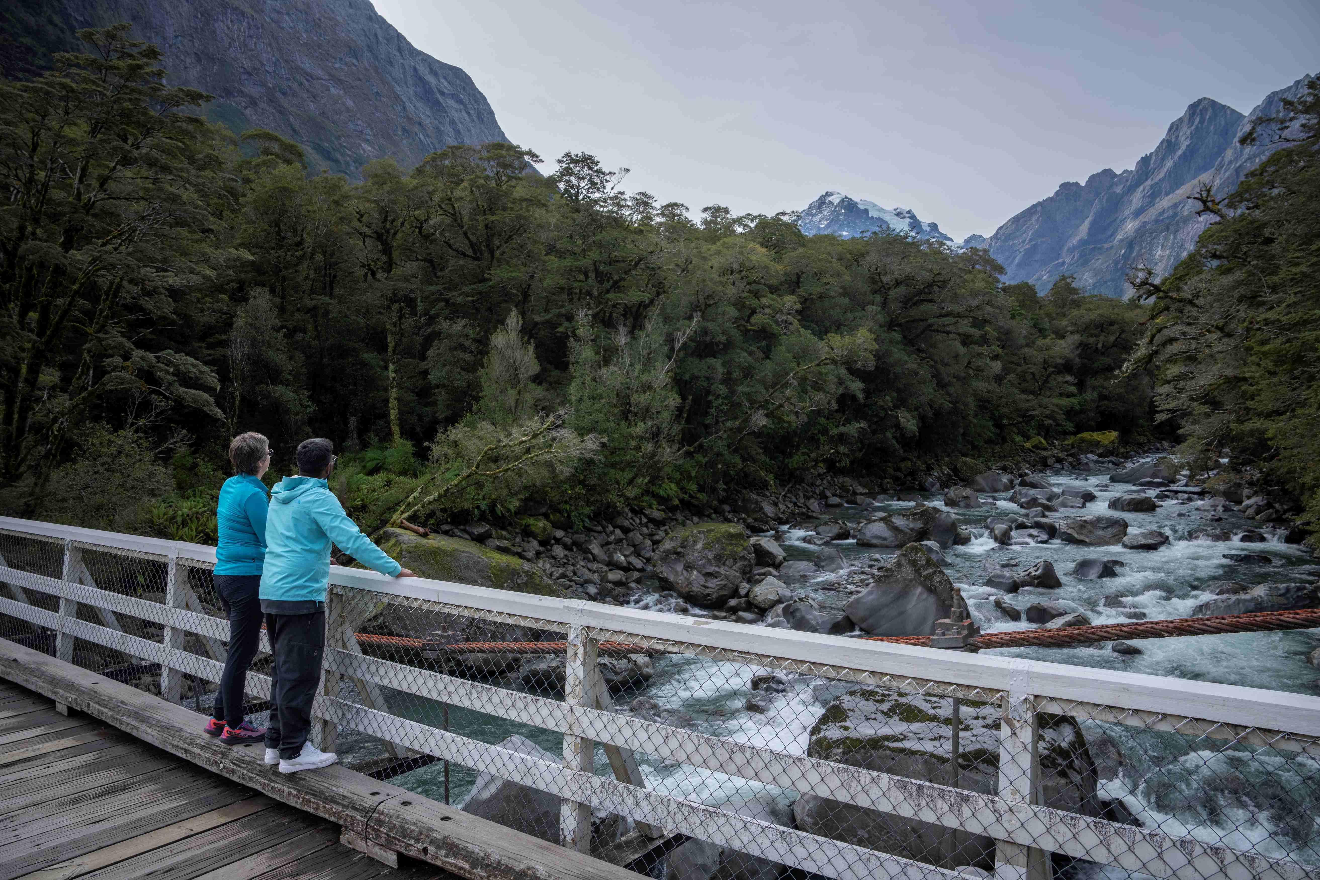 Milford Sound tour photo — image 3