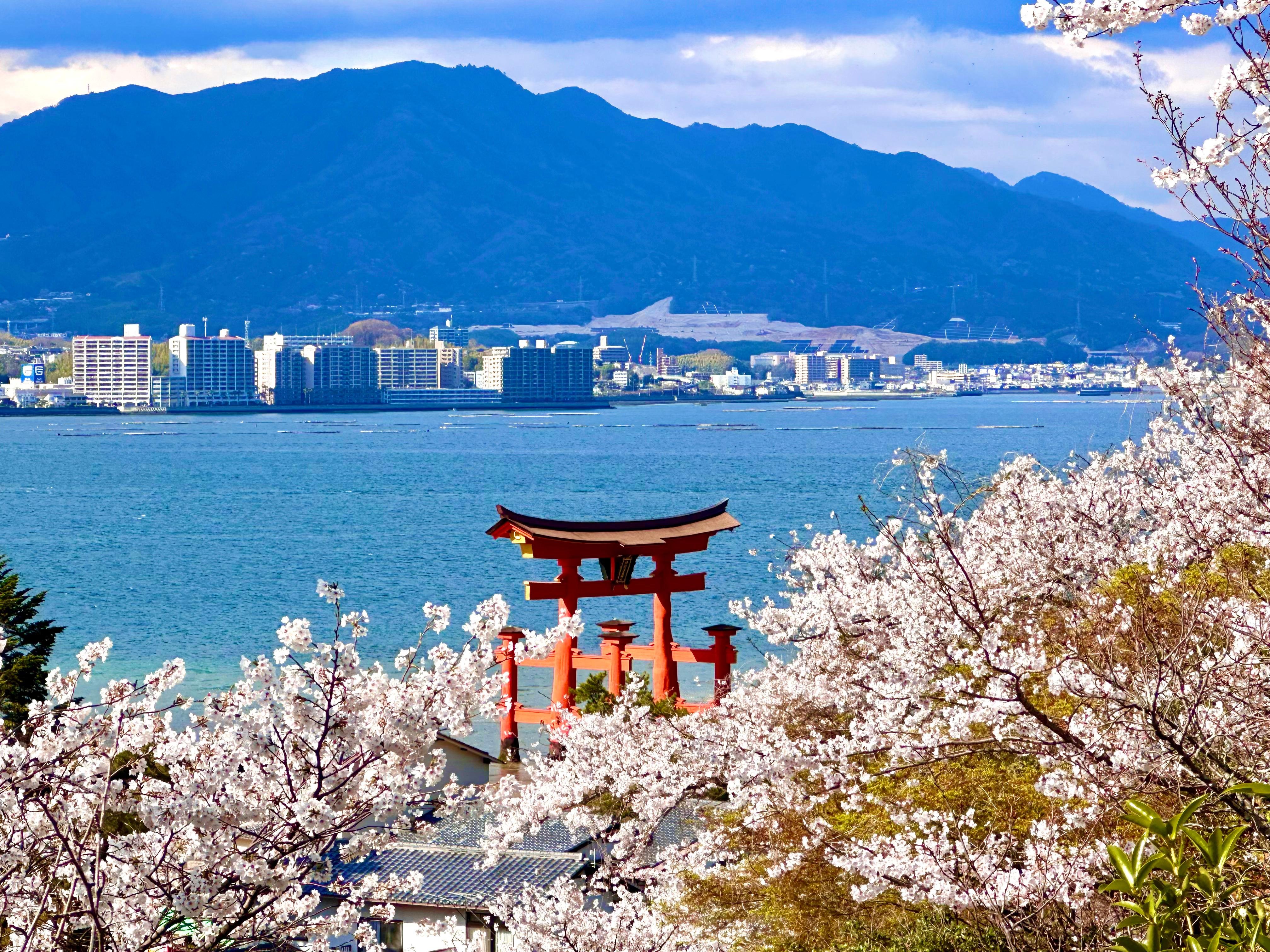 Osaka experience, image 3