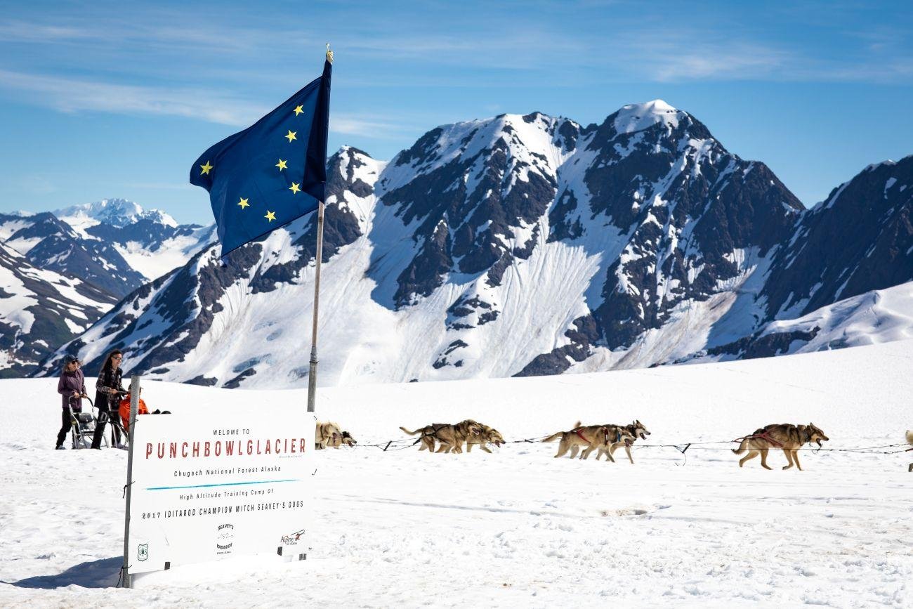 Helicopter Flight & Glacier Dog Sledding Experience
