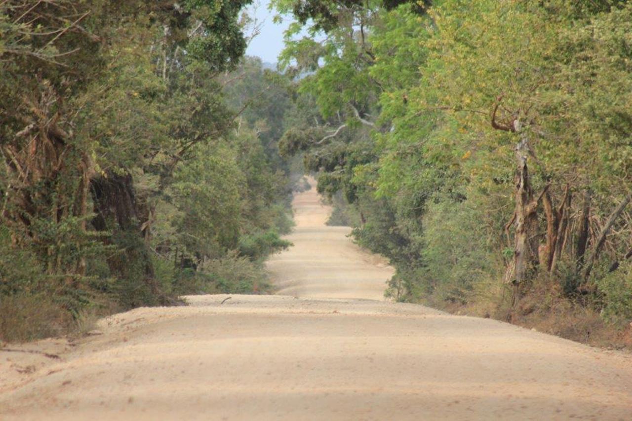 Yala National Park Leopard Safari with Skip-the-Line Entry