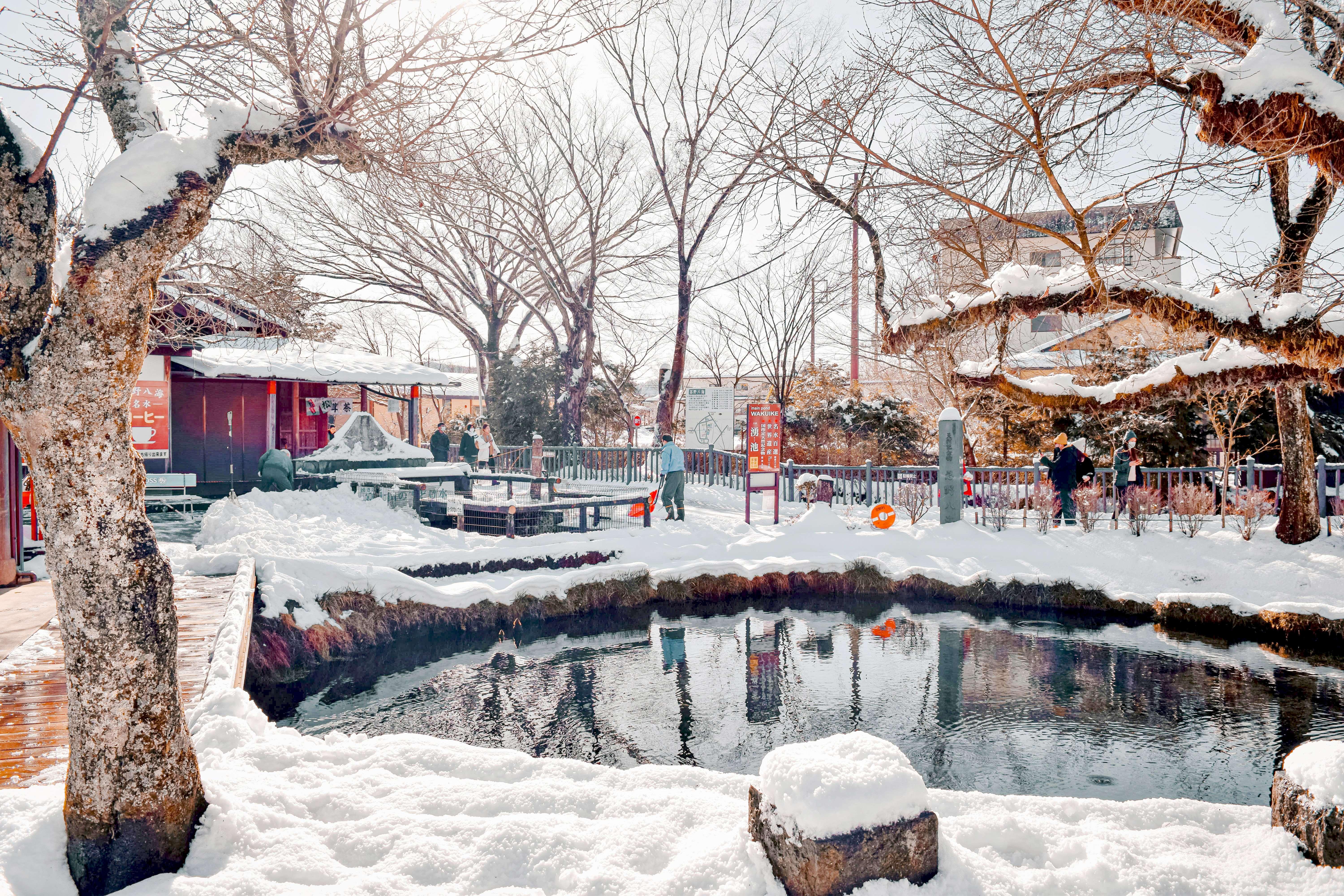 Mount Fuji Full-Day Tour from Tokyo: Two Routes, One Iconic Mountain