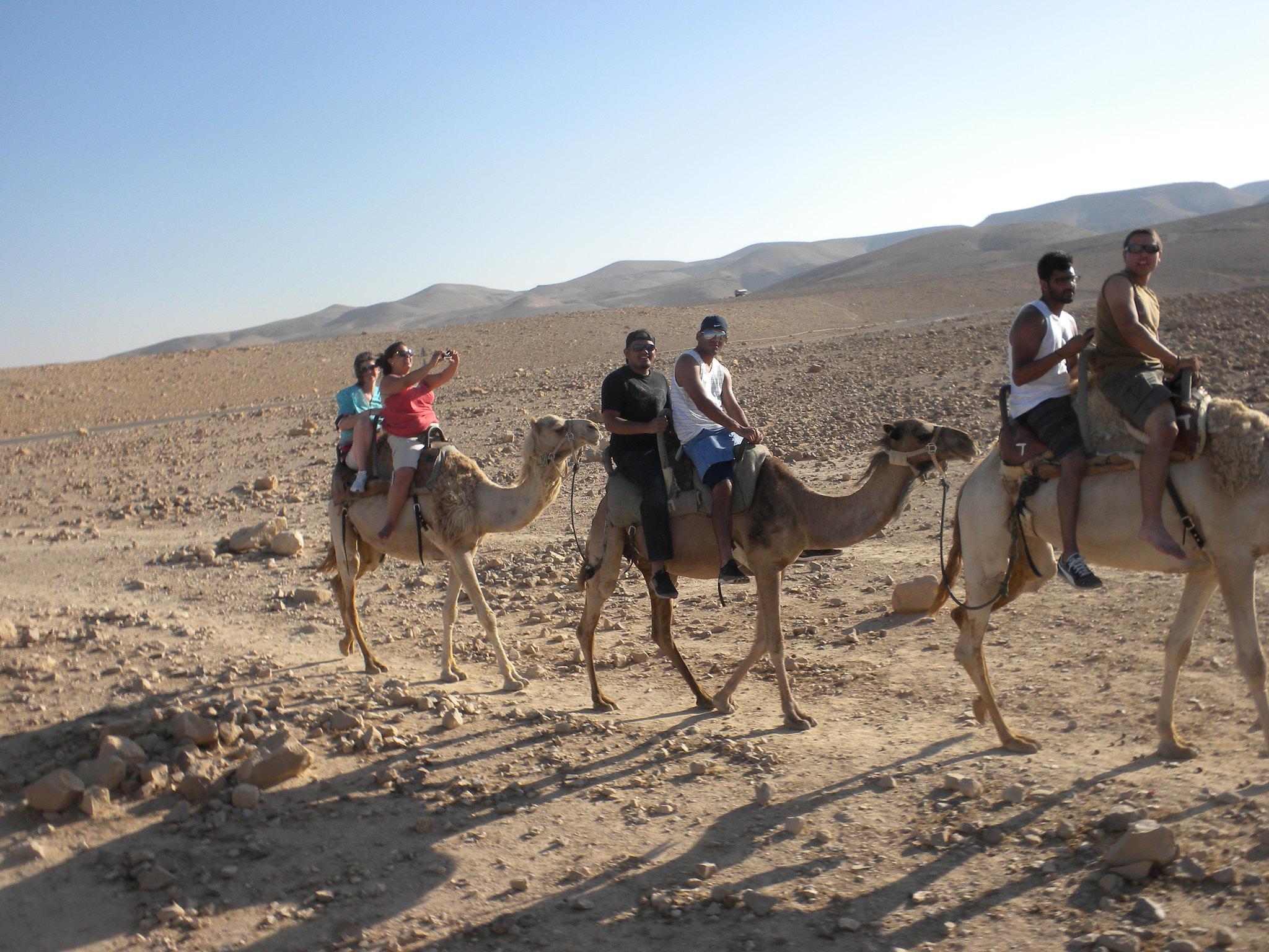 Agadir Camel Trekking Adventure with Refreshments