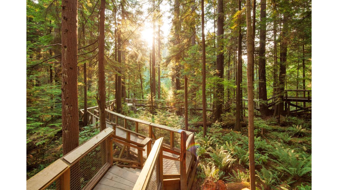 Capilano Suspension Bridge Park Entry