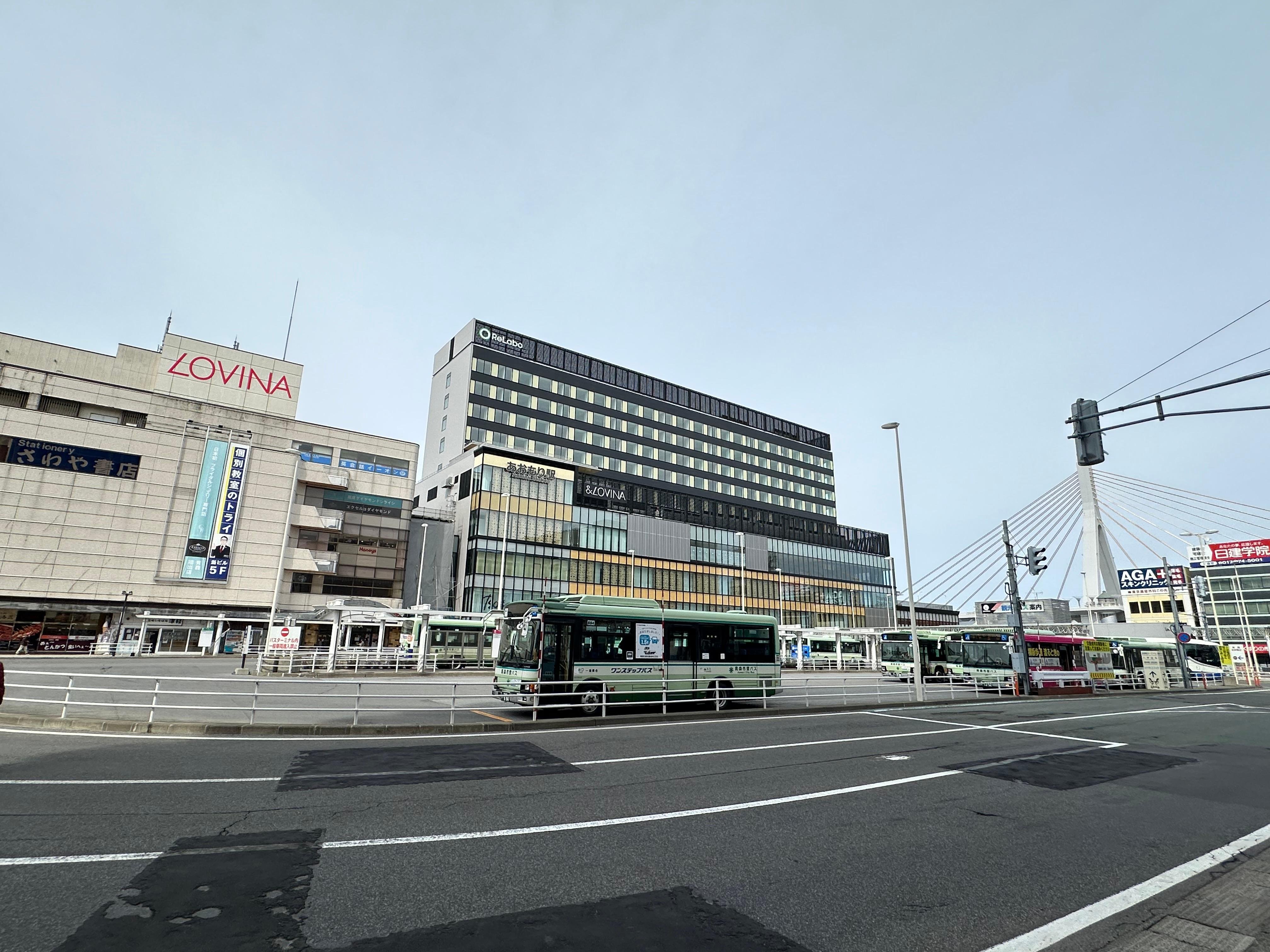 Private Aomori City Tour with Local Cuisine & Hot Springs