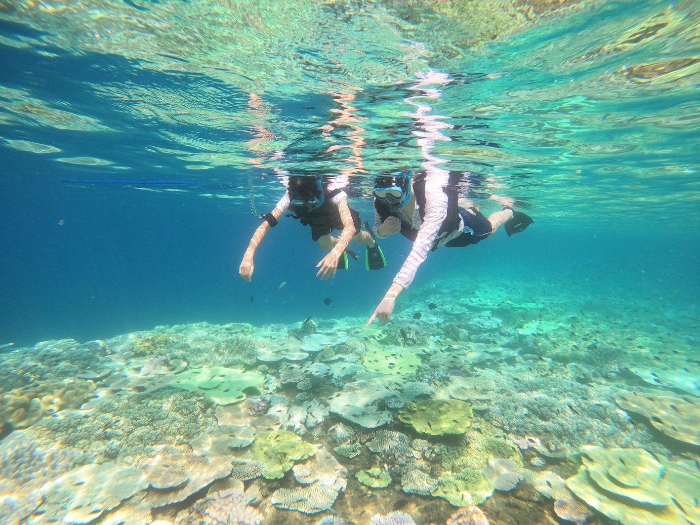 Kerama Islands Private Boat Charter & Snorkeling