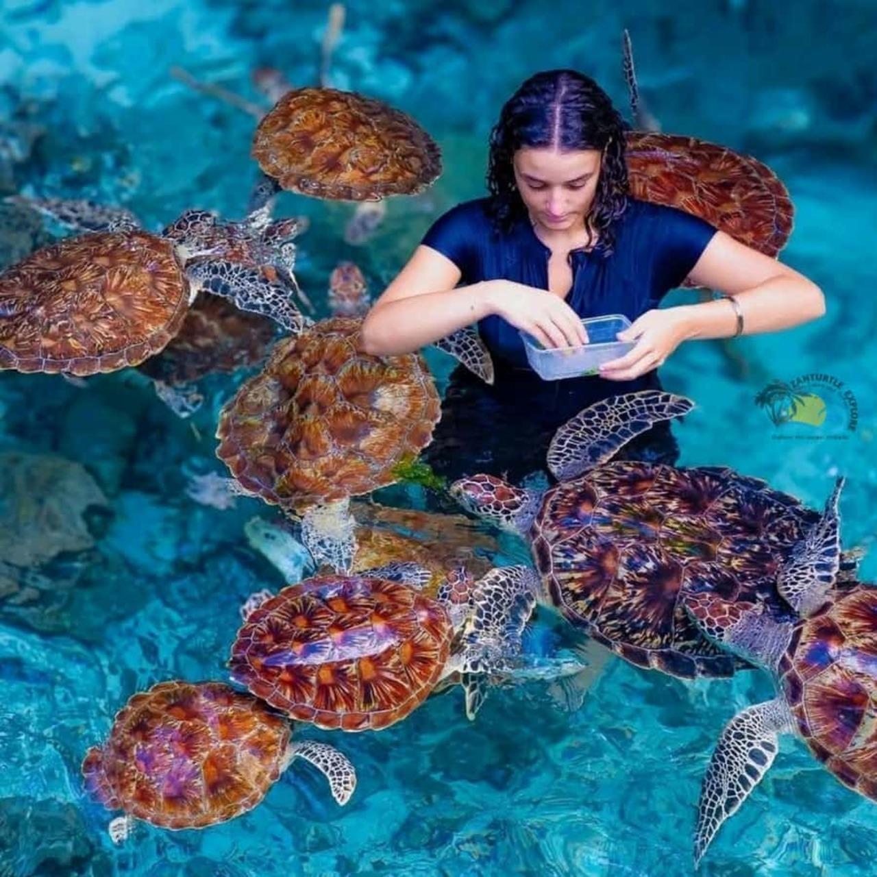Zanzibar Sea Turtle Swim at Baraka Aquarium, Nungwi