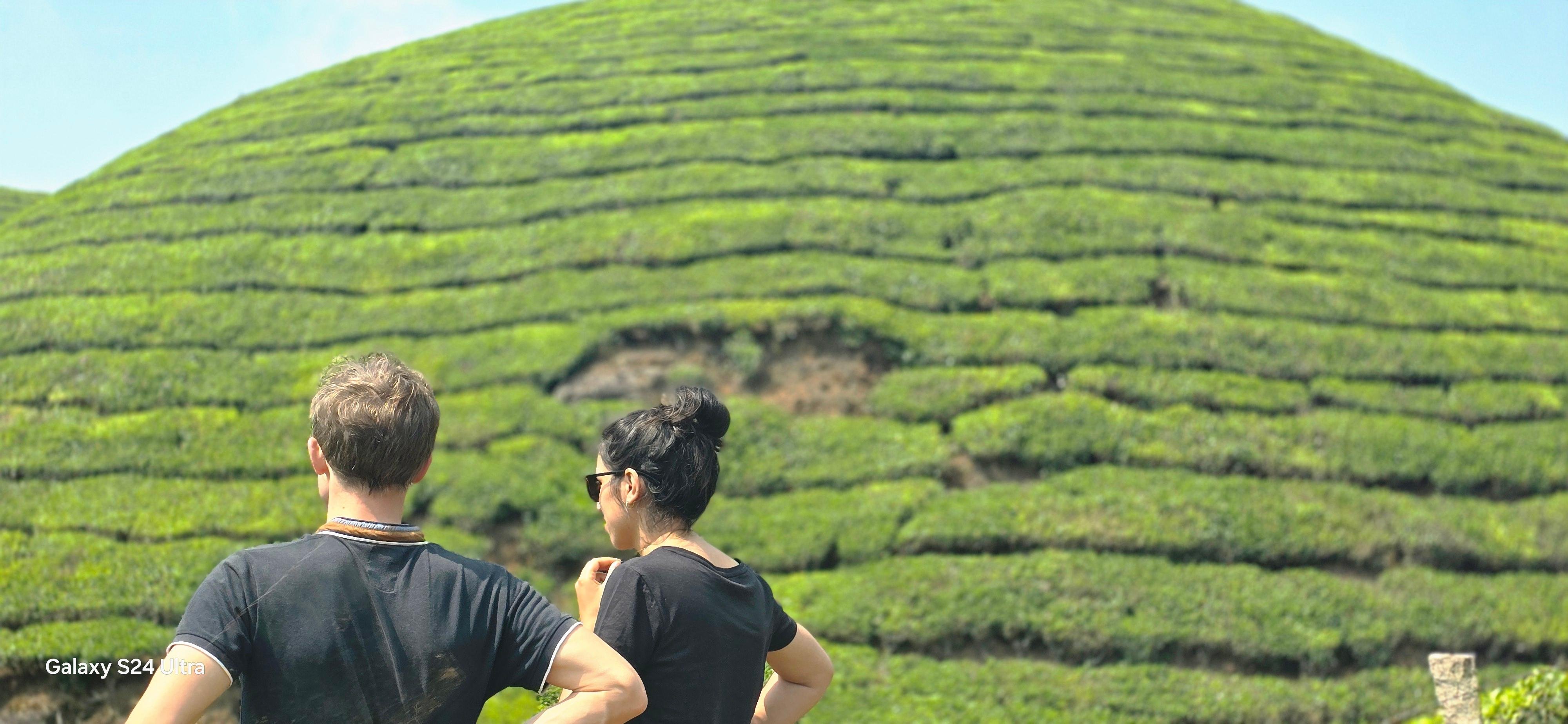 Munnar: Wild Elephant Jeep Safari in Anakulam