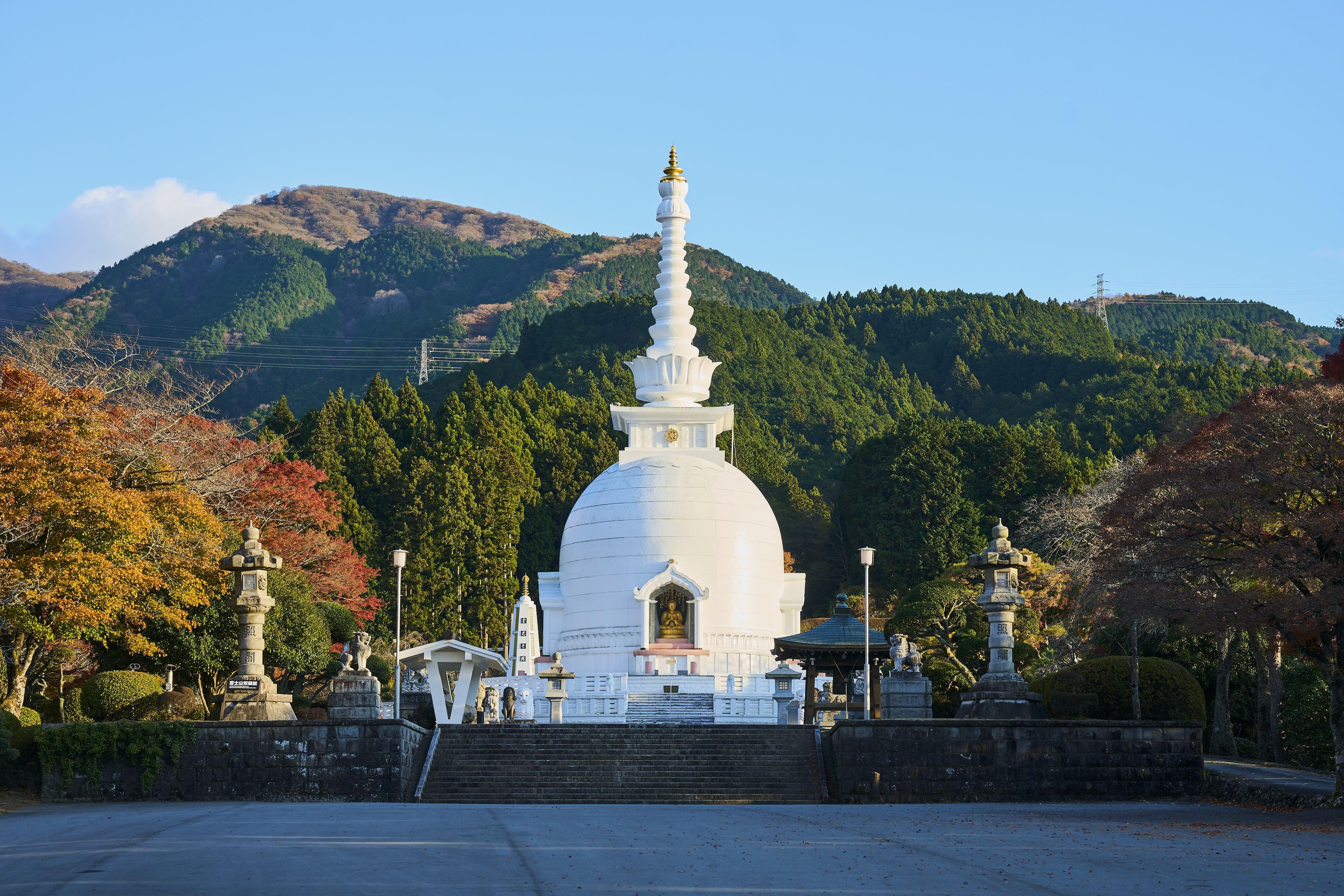 Mt. Fuji & Hakone Day Trip: Pirate Cruise, Ropeway & Shrine from Tokyo
