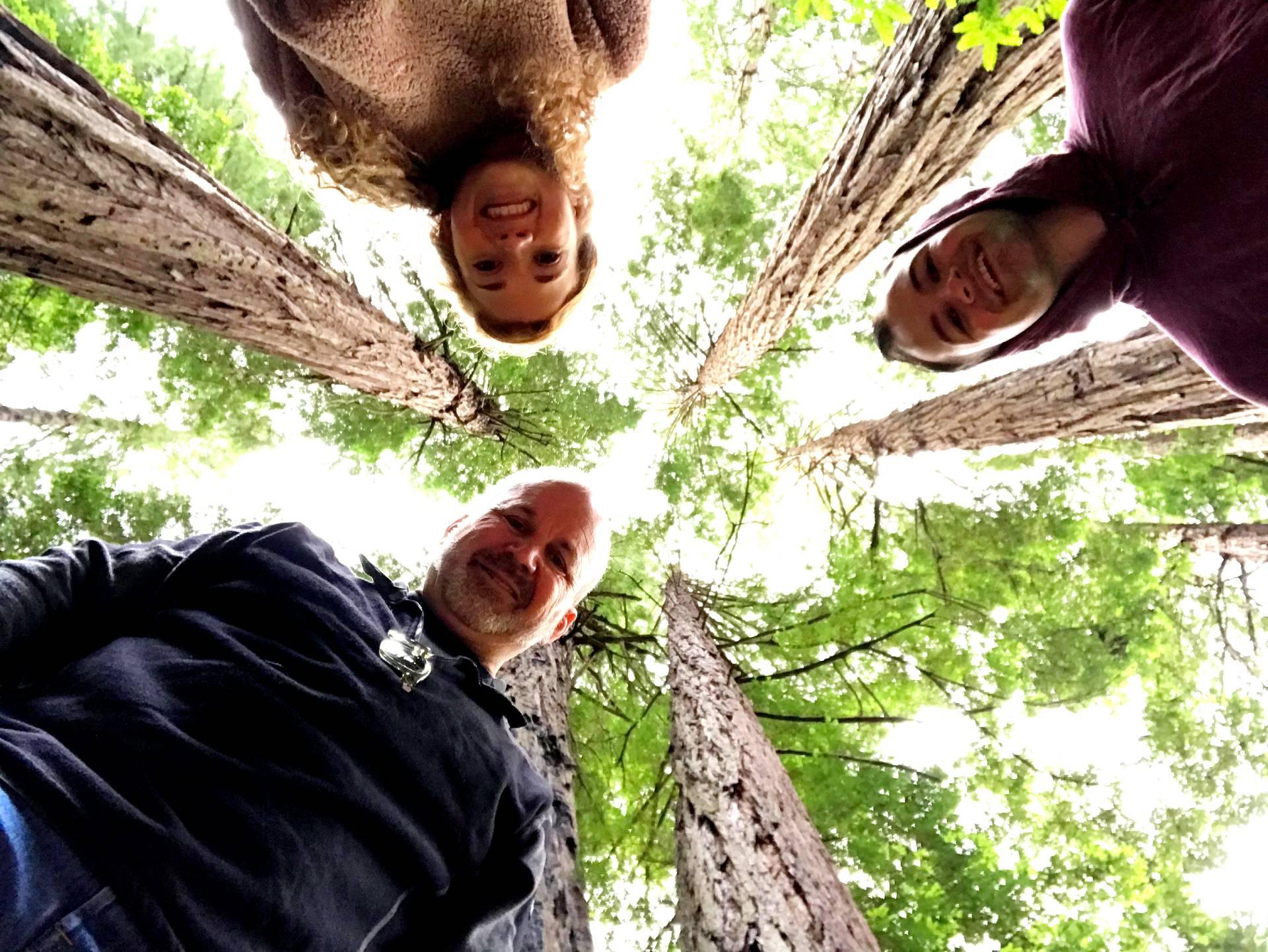 Private Muir Woods & Alcatraz Expedition (Max 6 Guests)