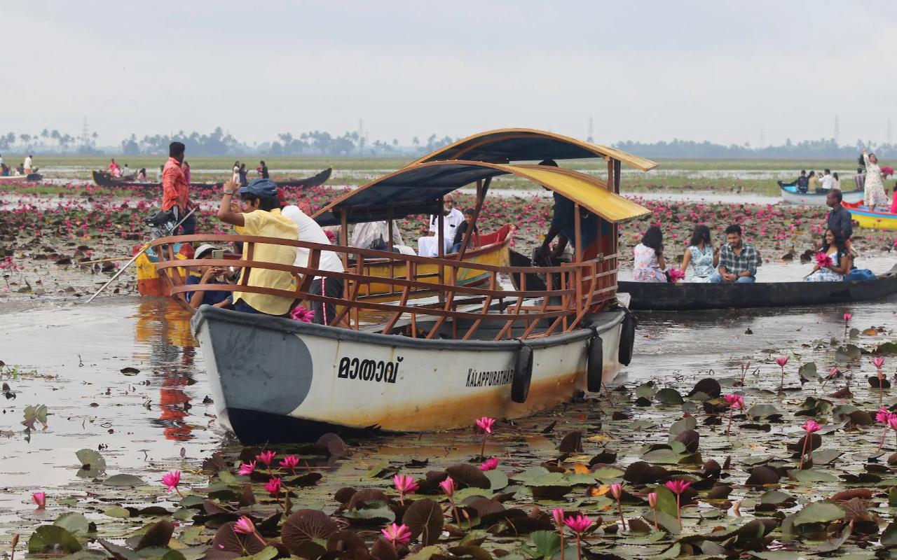 Malarikkal Backwater Sunrise Excursion from Kochi