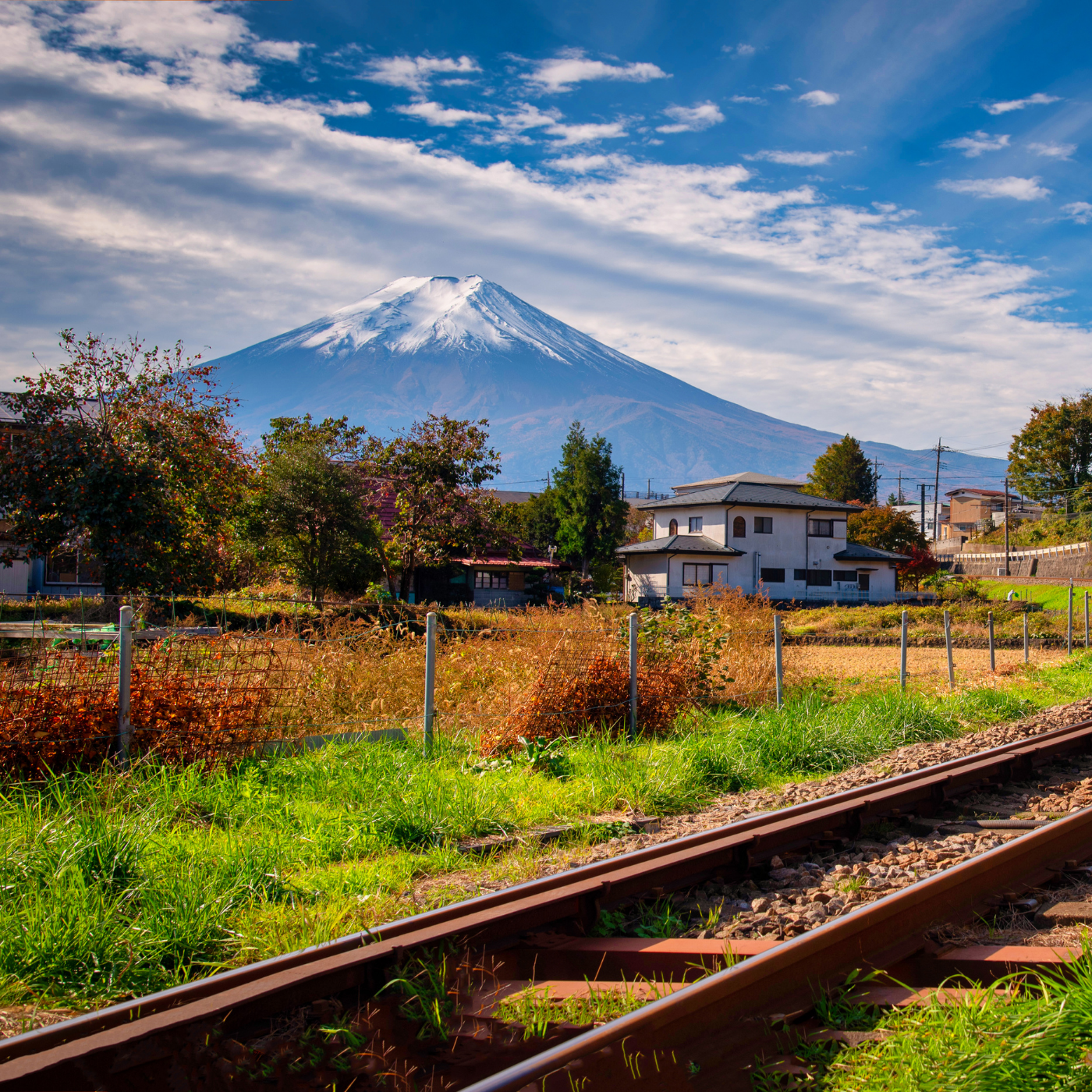 Private Mount Fuji & Hakone Day Tour from Tokyo