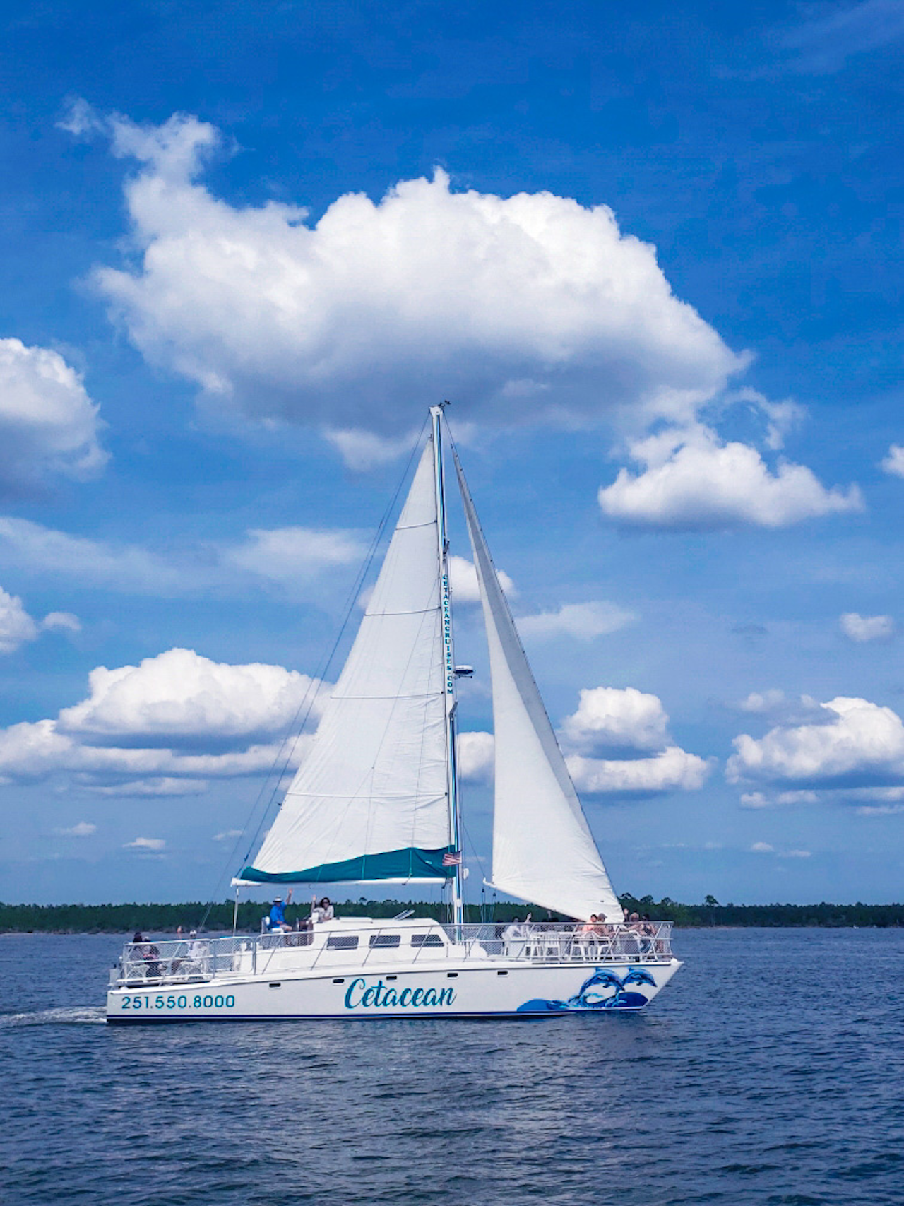 Dolphin Watching & Sailing on a 52ft Catamaran