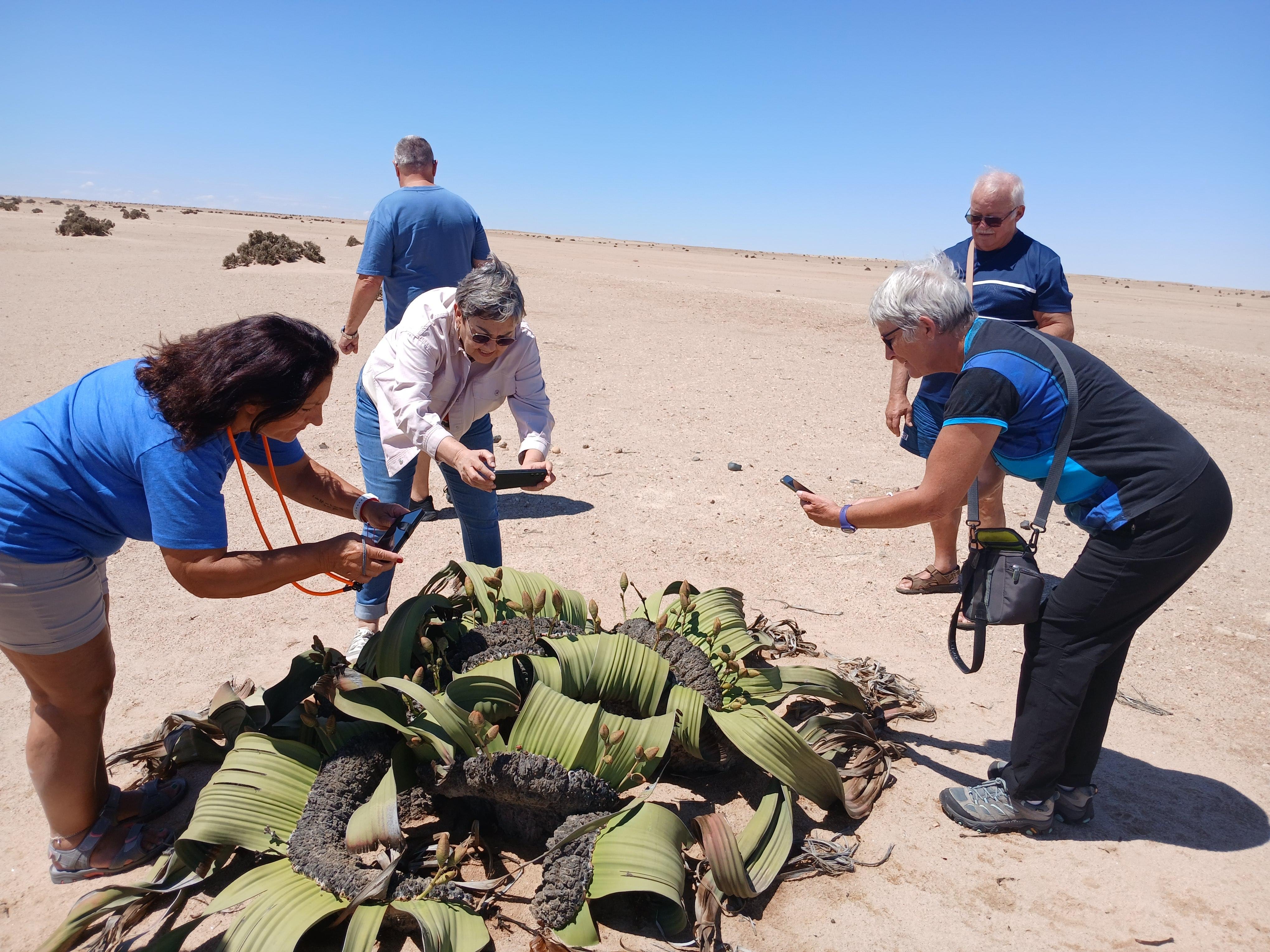Coastal Wonders & Desert Treasures Tour