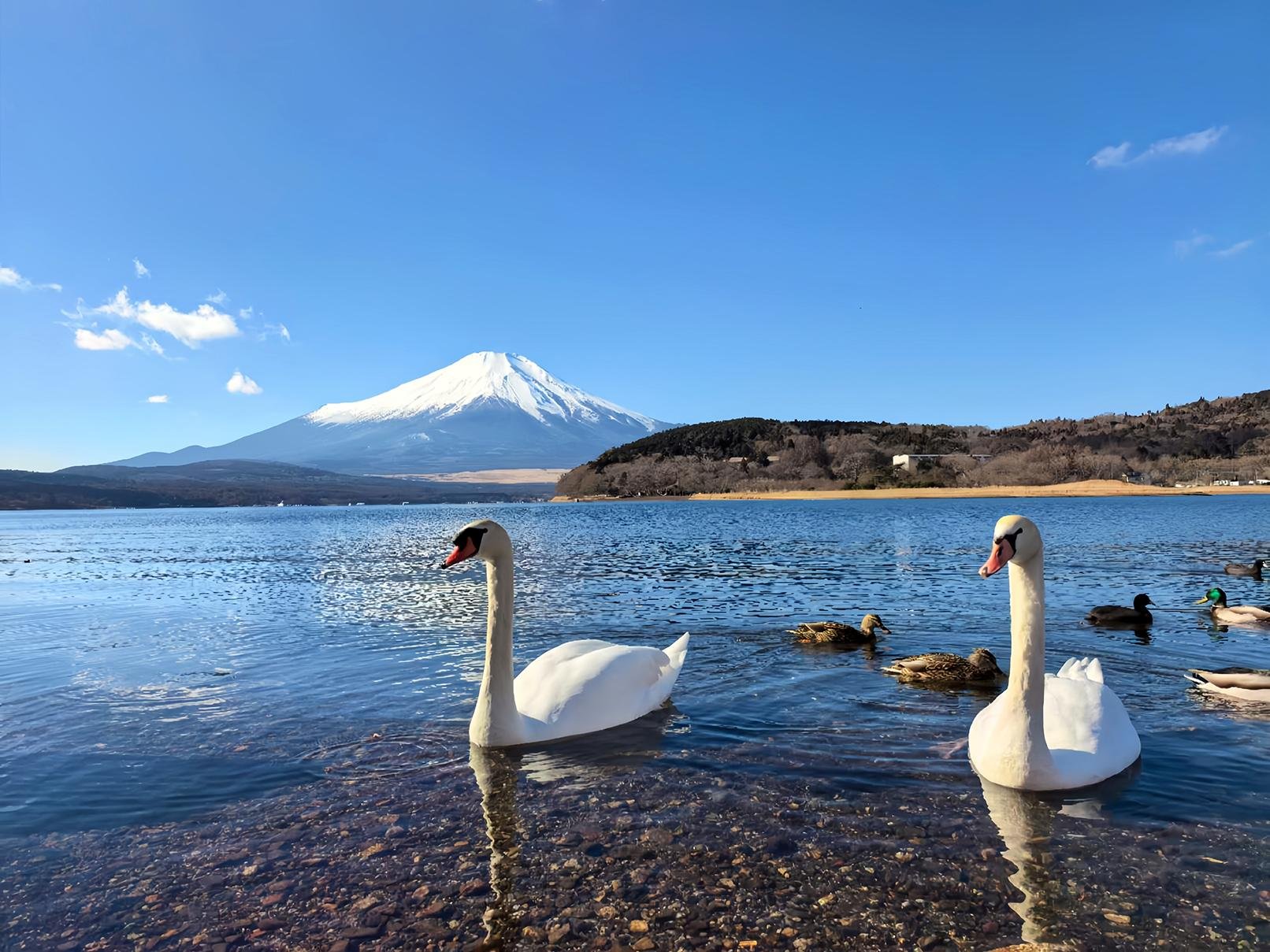 Mount Fuji Full-Day Tour: Boat Cruise, Ropeway & Hidden Gems