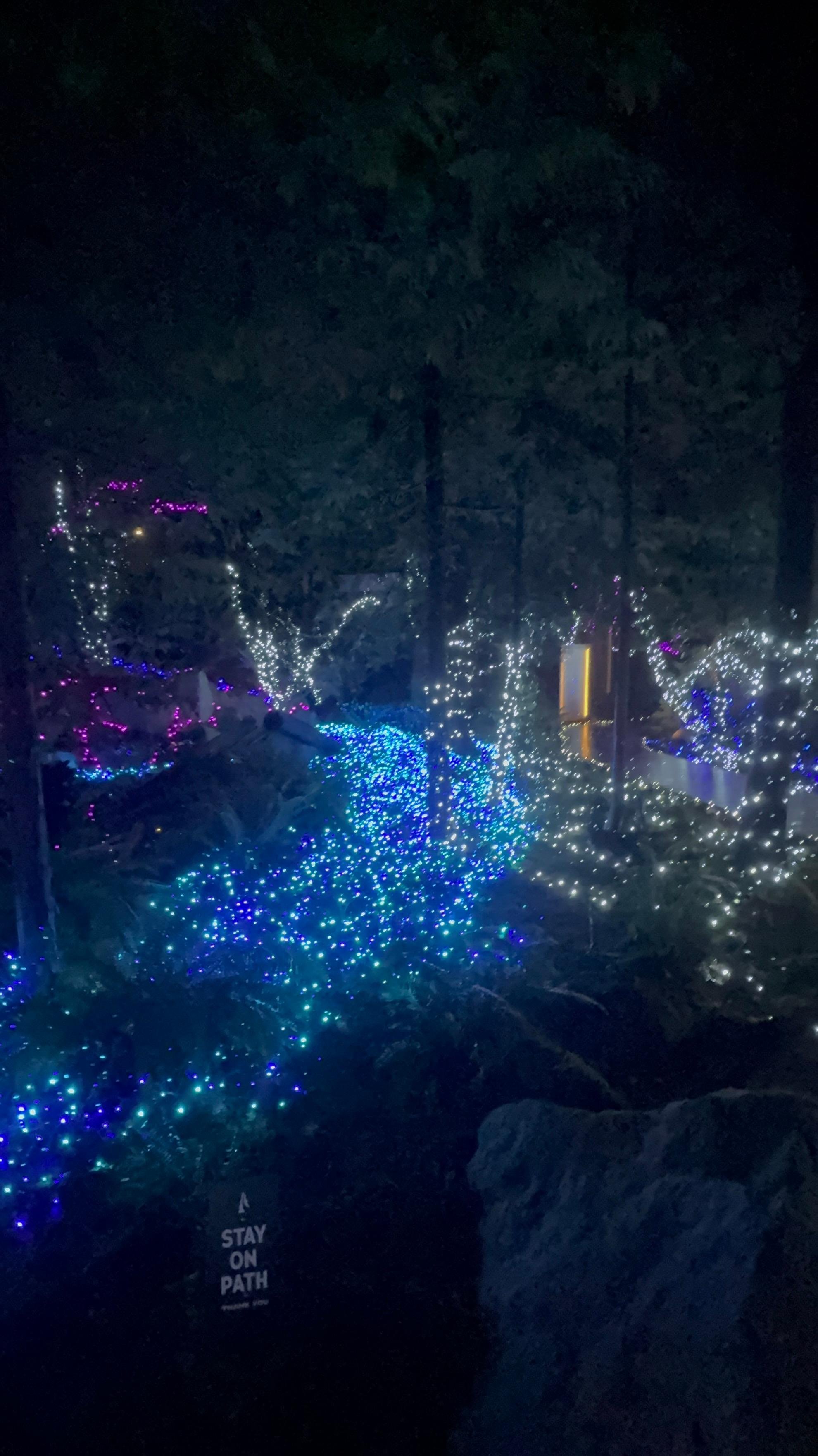 Capilano Suspension Bridge & Stanley Park Small Group Tour
