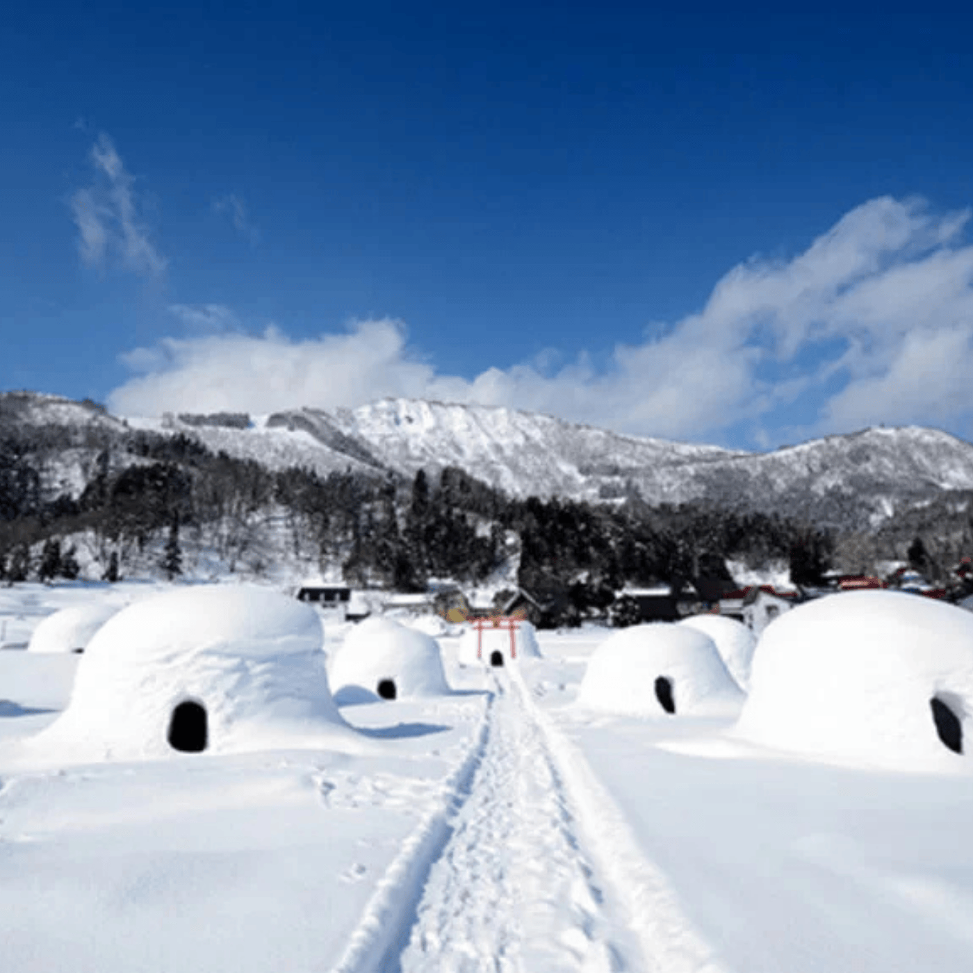 Private Nagano Day Tour: Snow Monkeys, Zenko-ji & Hot Springs from Tokyo