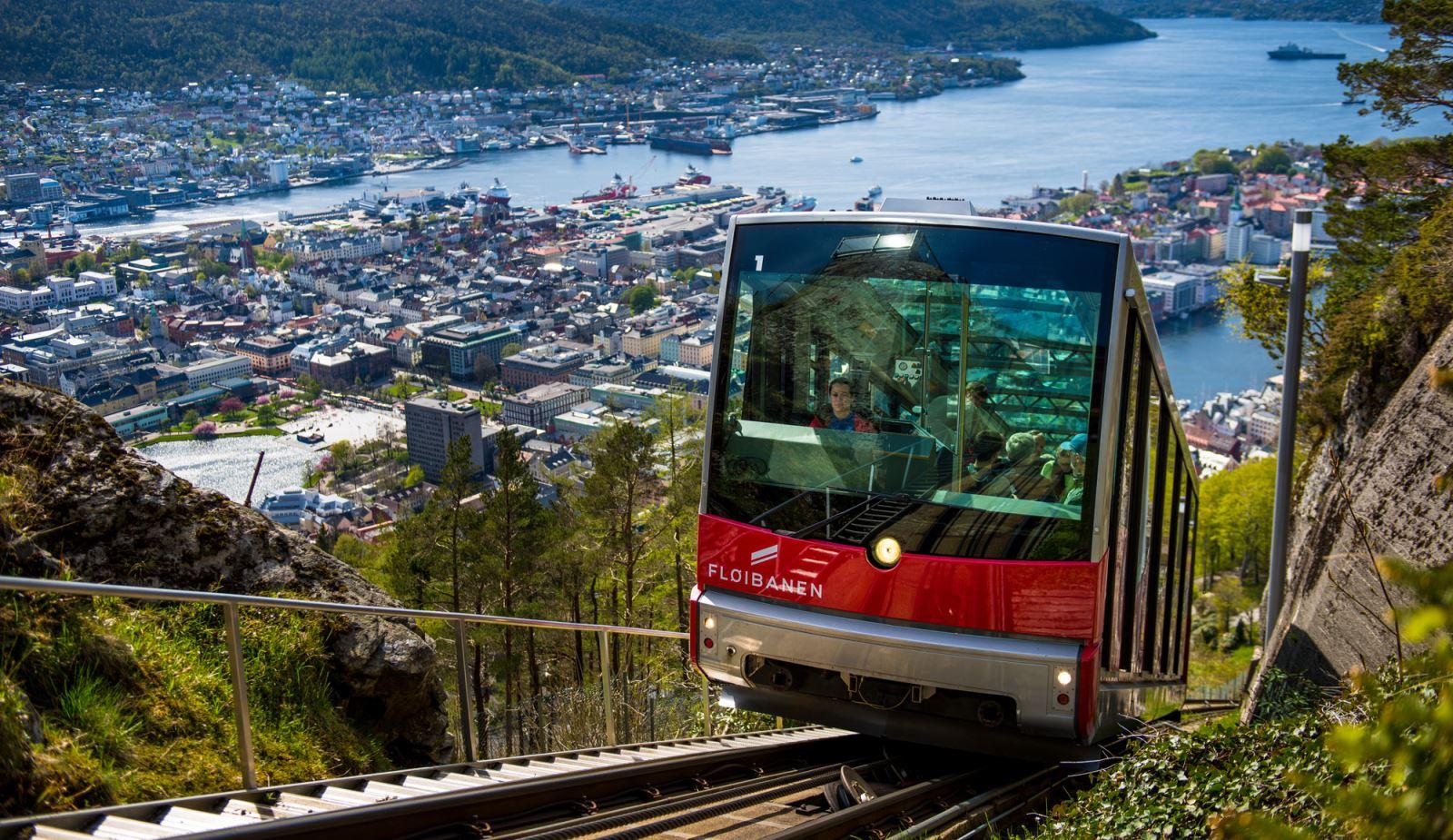 Bergen Highlights: Fjord Cruise, Historic Walk & Mt. Fløyen
