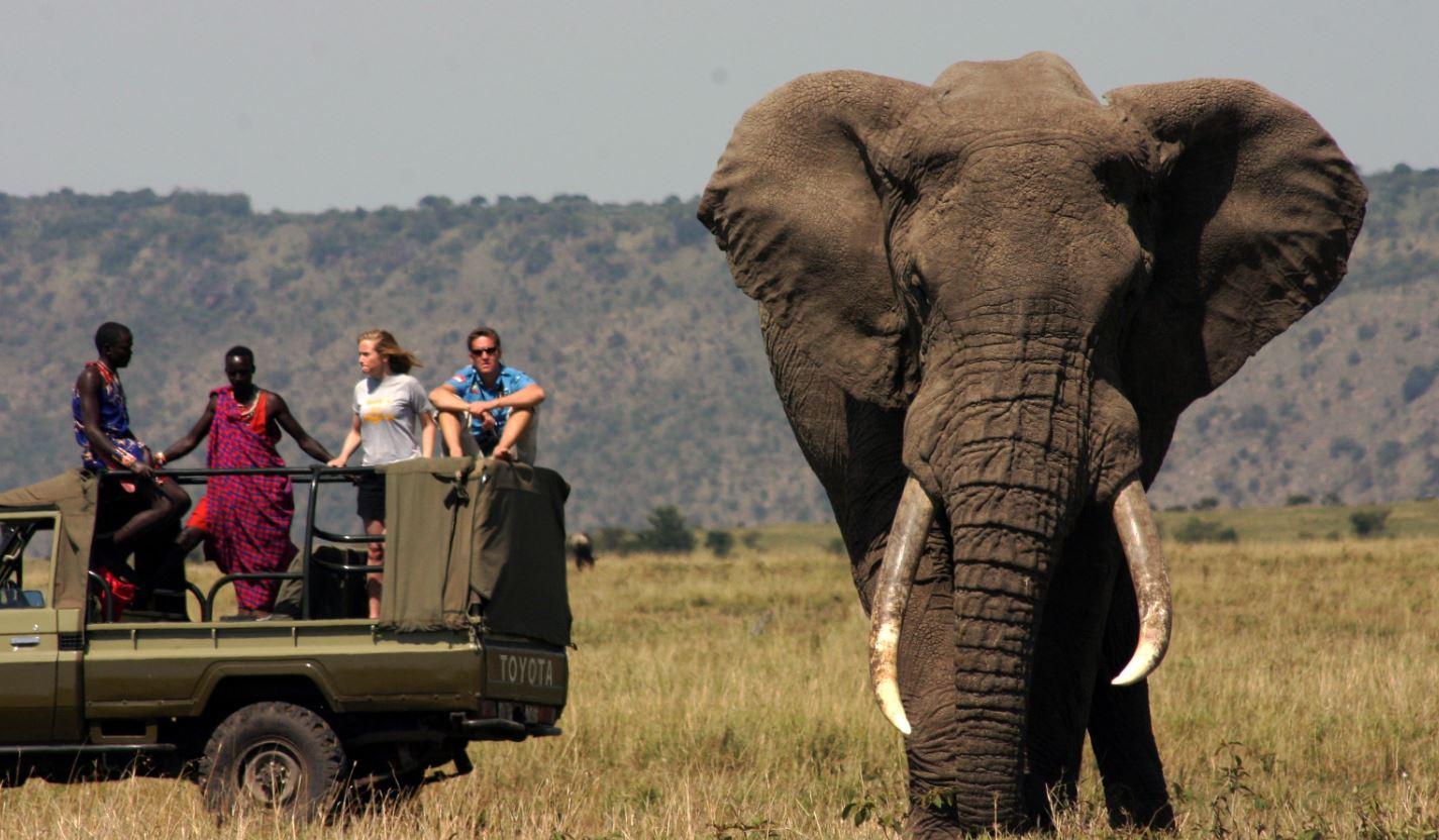 5-Day Garden Route Tour from Cape Town