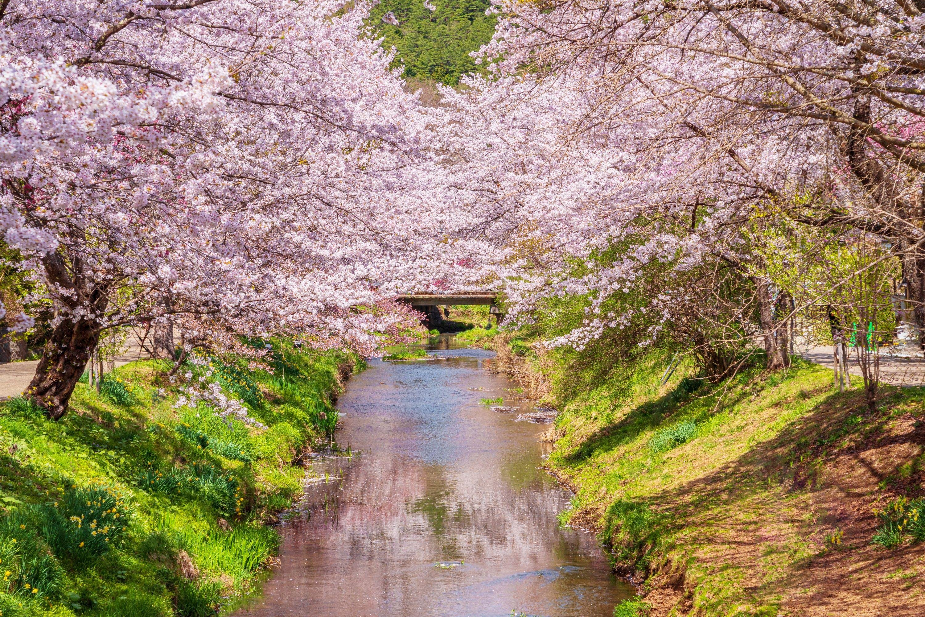 Mount Fuji Full-Day Tour from Tokyo: Two Routes, One Iconic Mountain