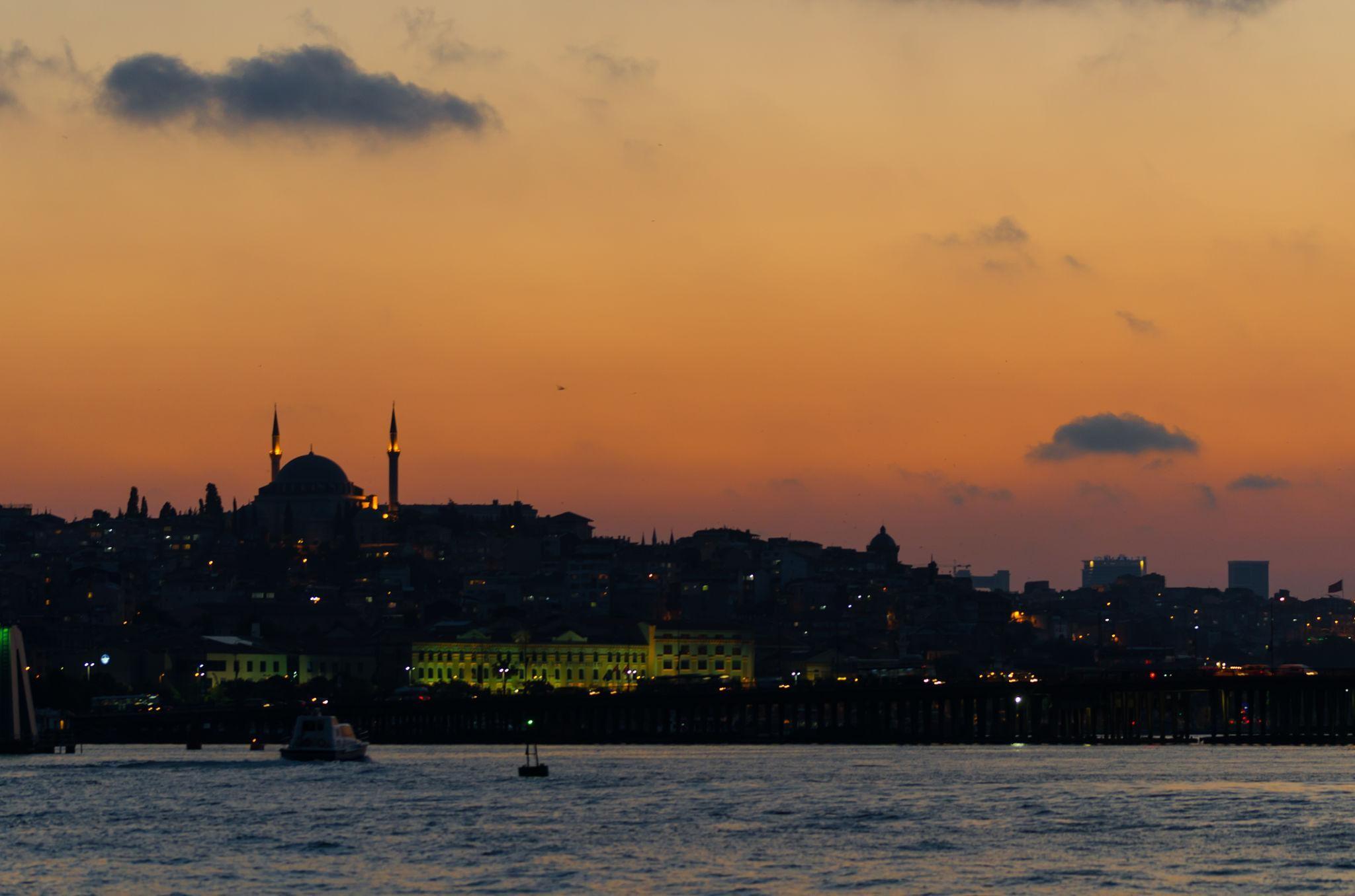 Istanbul Arrival & Bosphorus Dinner Cruise Combo