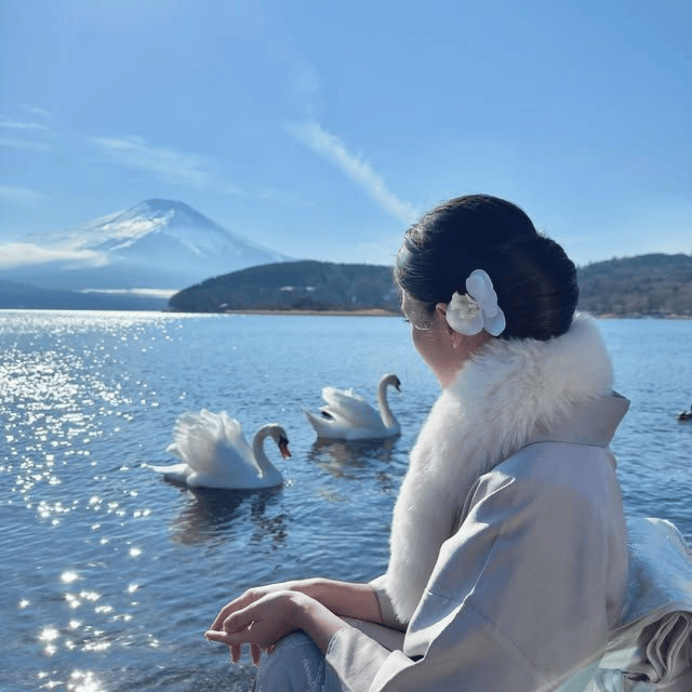 Private Mount Fuji & Hakone Day Tour from Tokyo