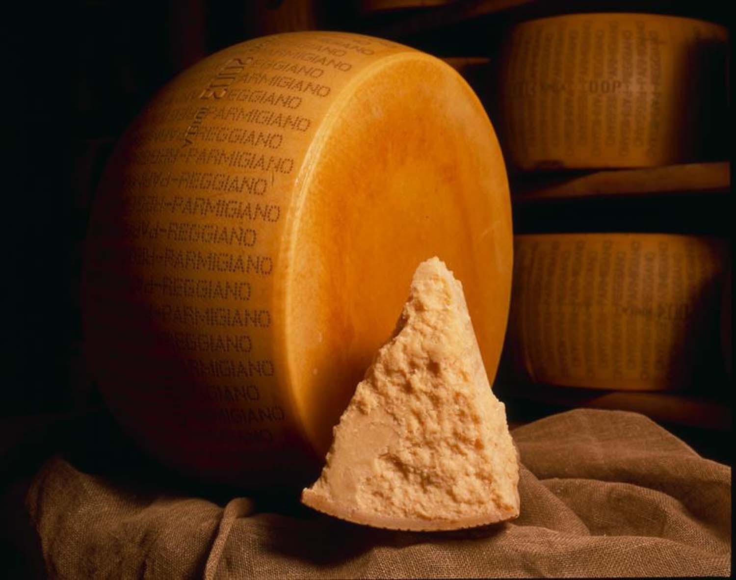 Parmesan factory tour — Parmigiano Reggiano dairy and ageing wheels — image 11