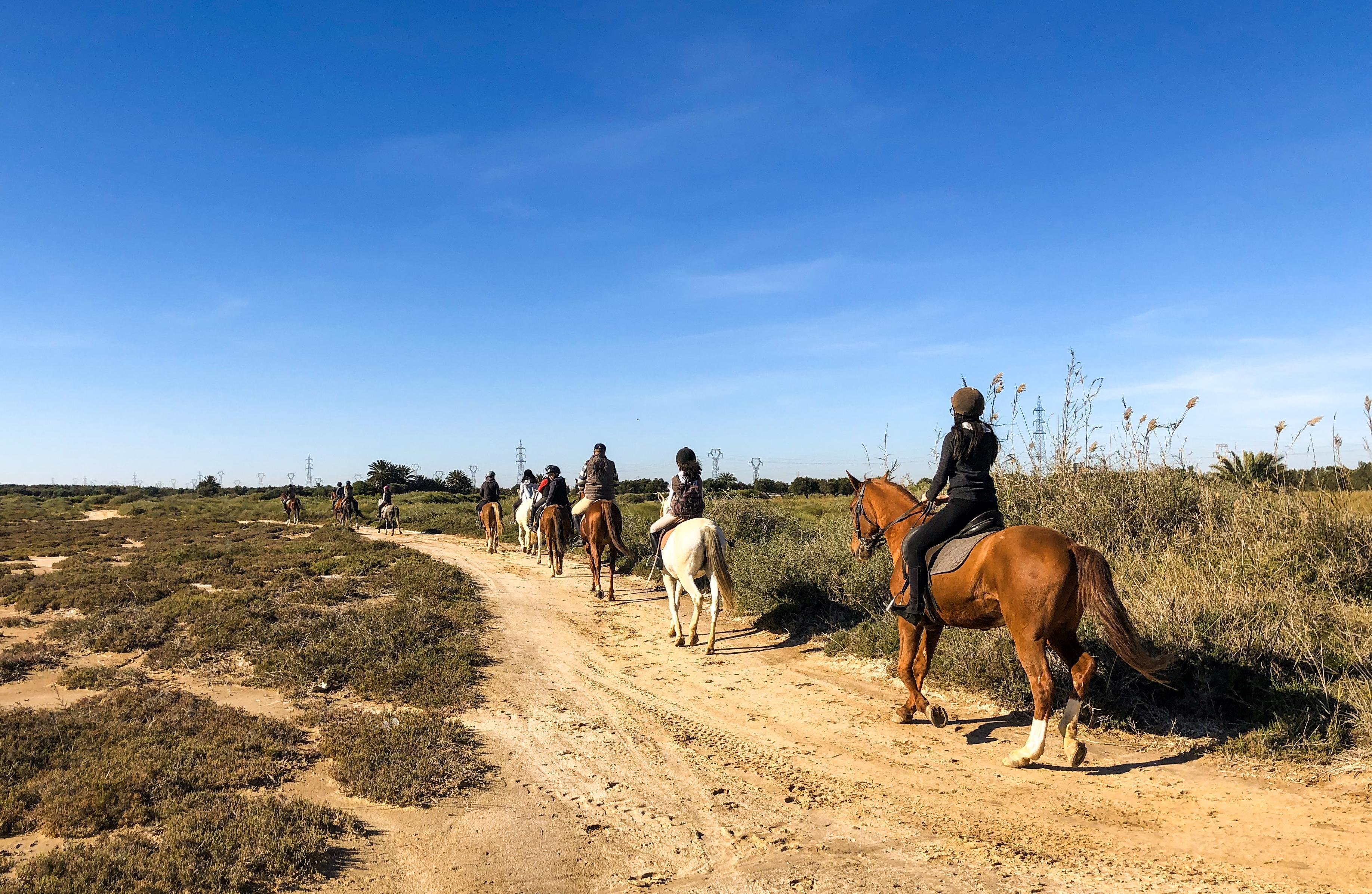 Private Horseback Riding Adventure in Sousse/Monastir
