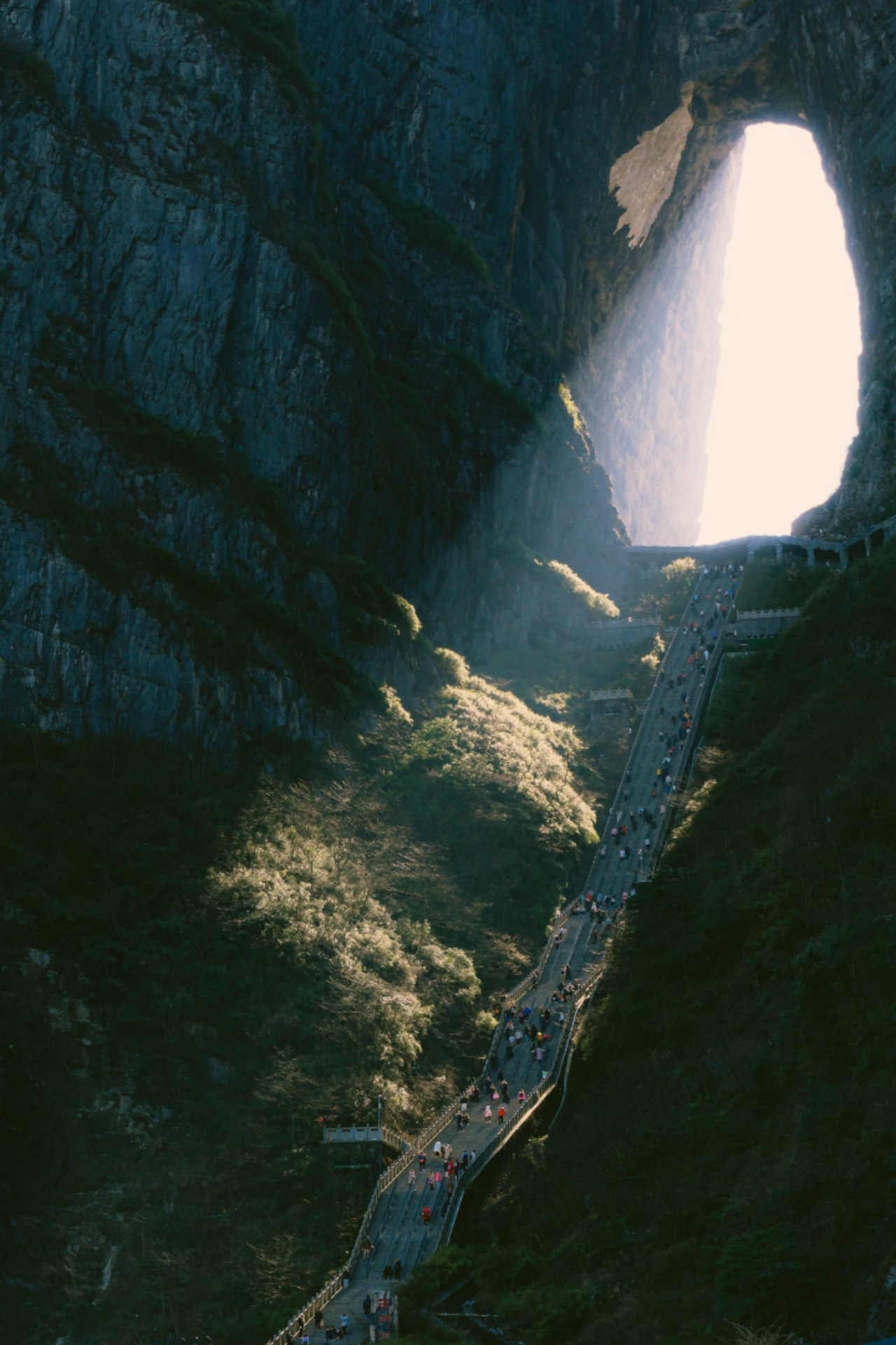 Zhangjiajie & Furong Ancient Town 1.5-Day Private Tour (4 Flexible Packages)