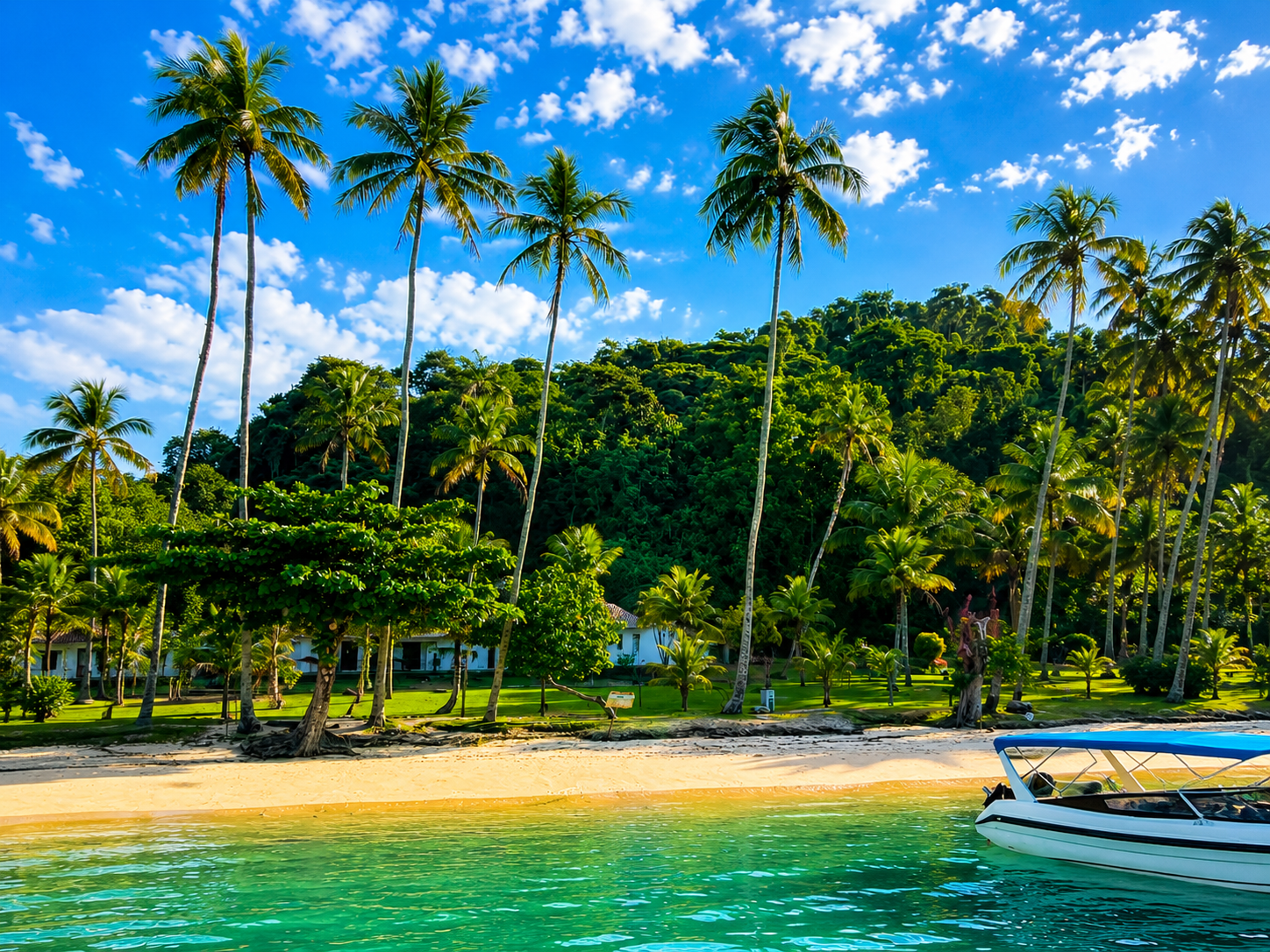 Ilha Grande & Blue Lagoon Boat Cruise from Rio