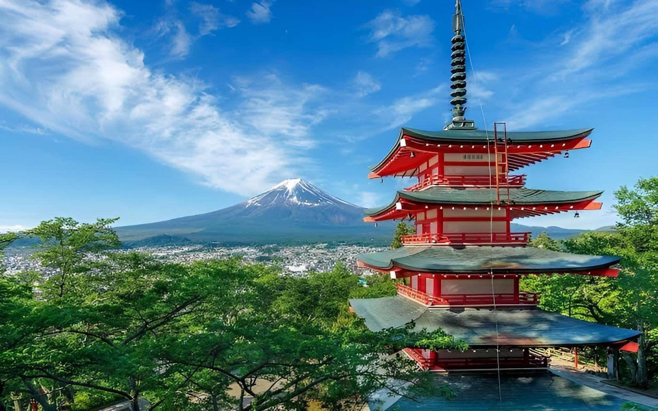 Mount Fuji Private Guided Day Tour from Tokyo