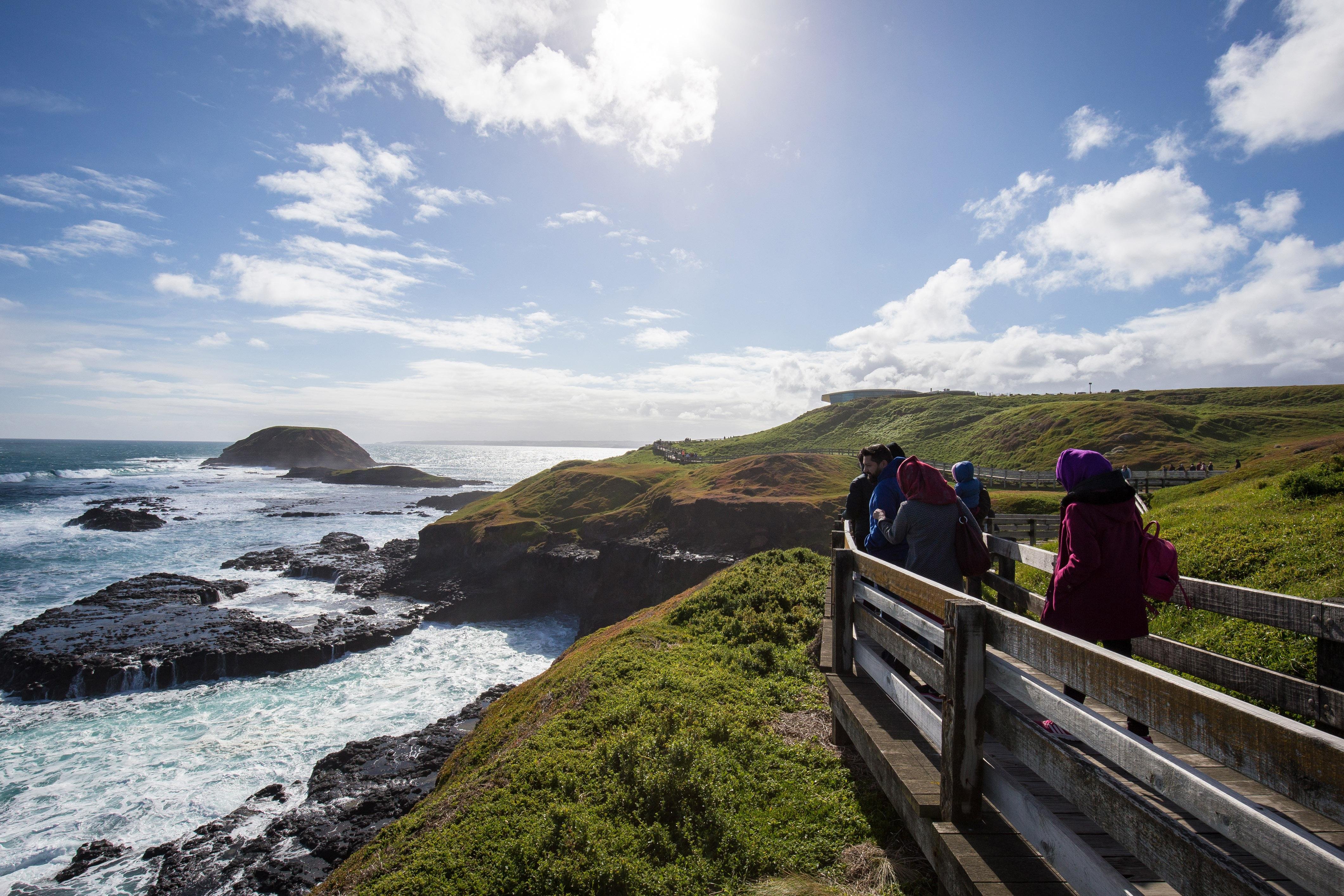 Phillip Island Wildlife & Penguin Parade Day Tour