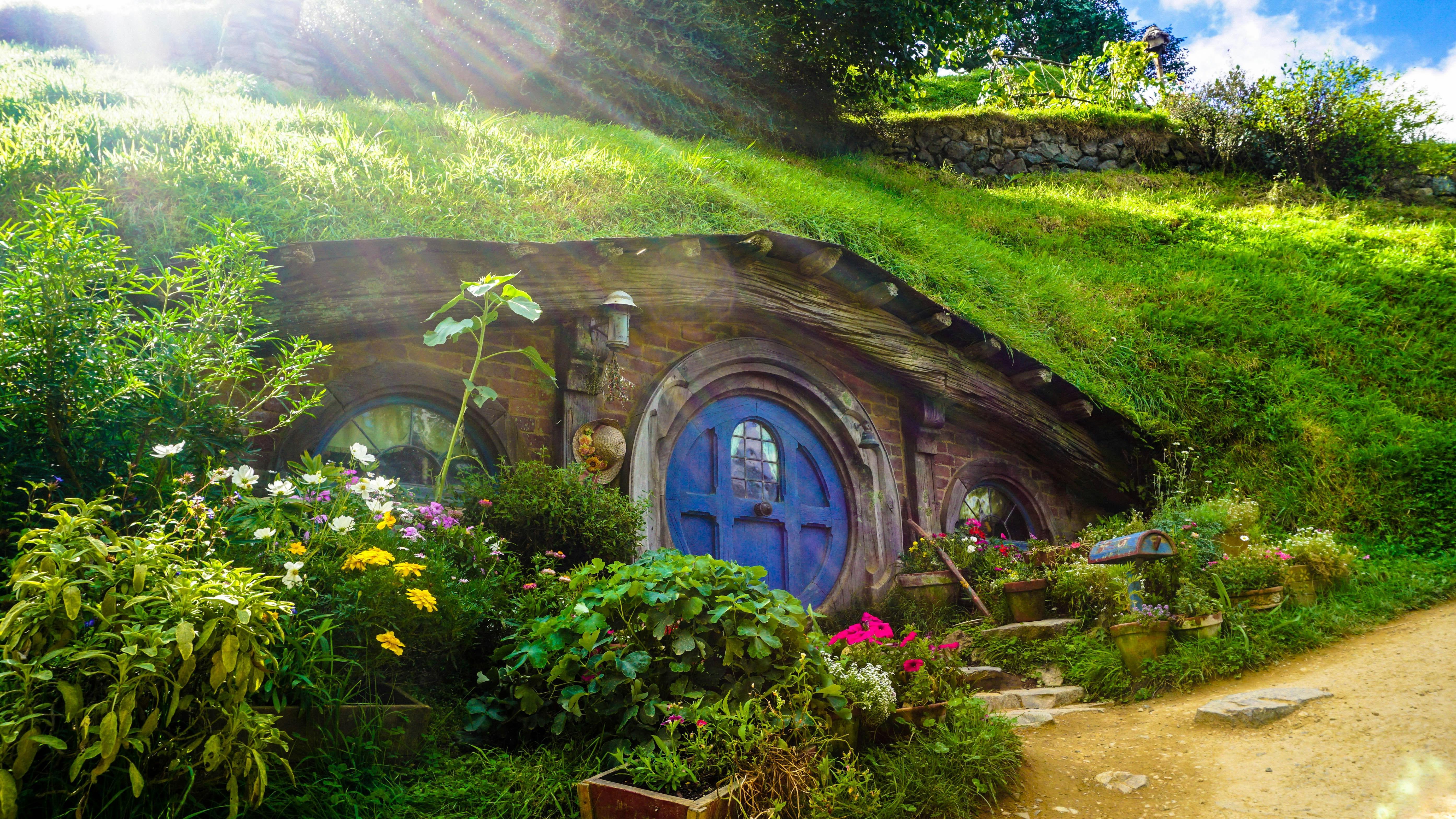 Private Auckland to Hobbiton & Blue Springs Transfer