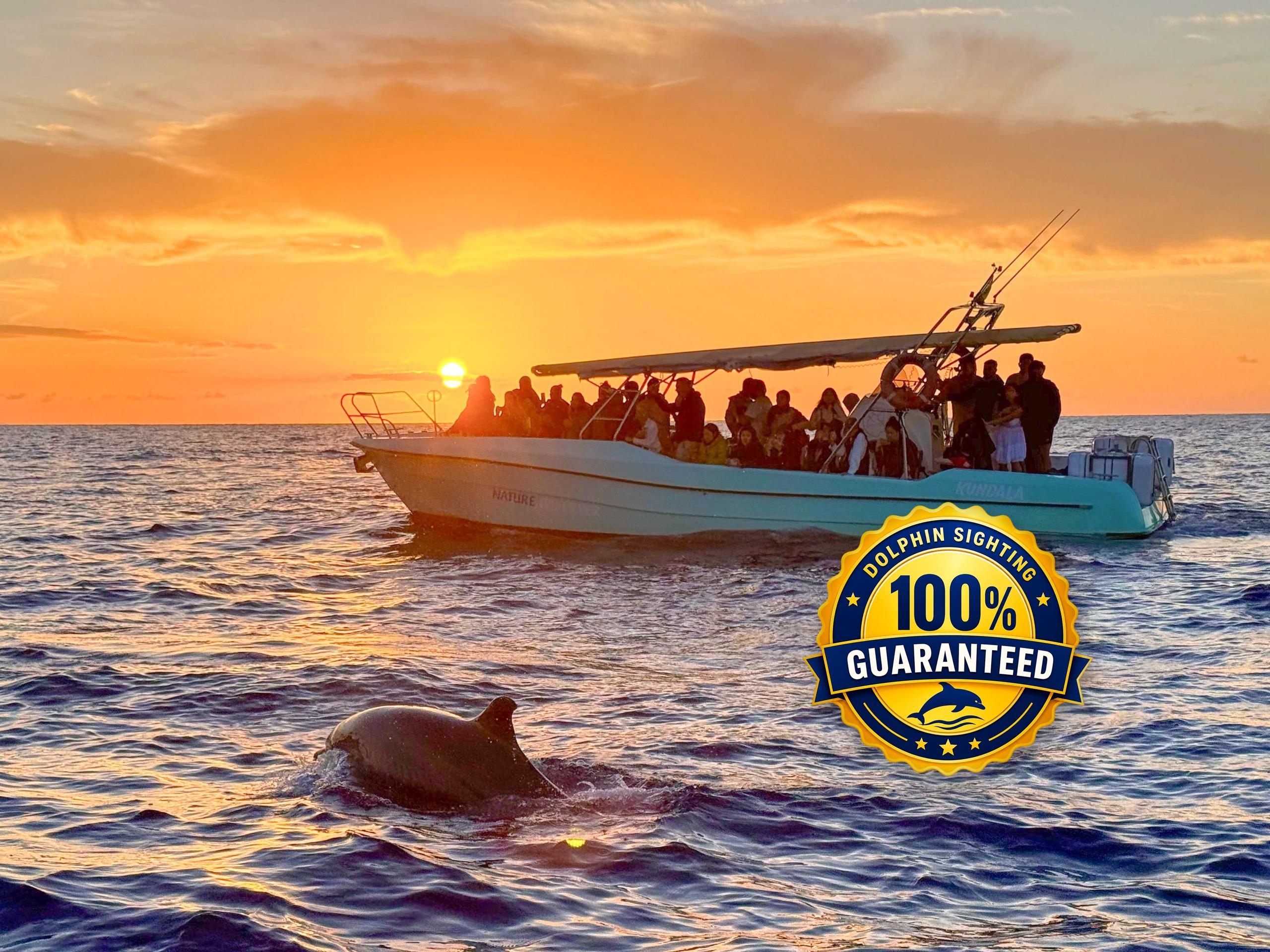 Alcúdia Sunrise Dolphin Watching Tour