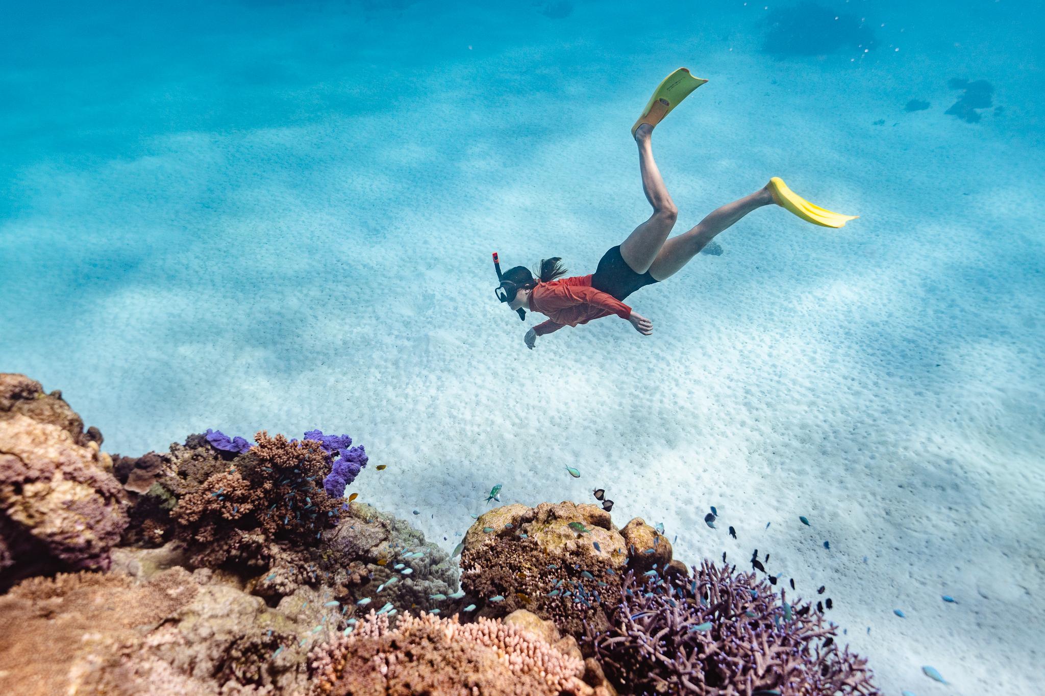 Ningaloo Reef Full-Day Shore Snorkel Tour from Exmouth