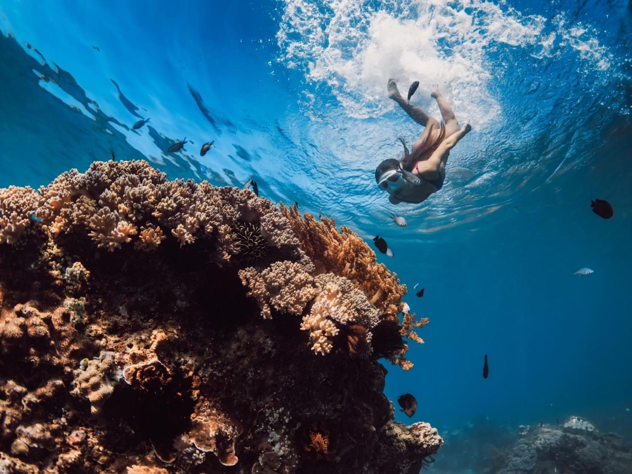 Sharm El-Sheikh: Private Speedboat to Tiran Island – Snorkel & Dive