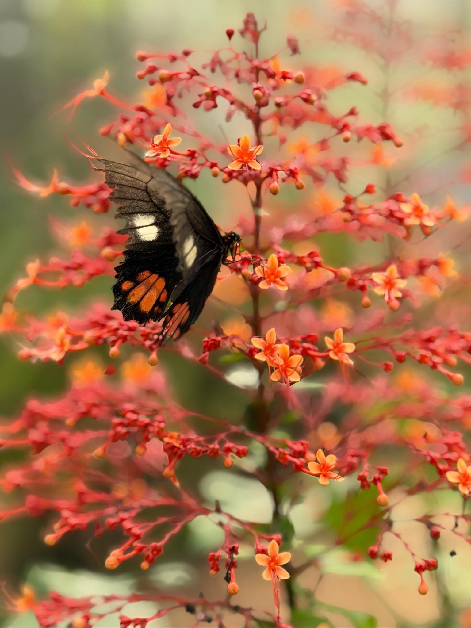 3-Day Amazon Jungle Expedition from Tena – All Inclusive