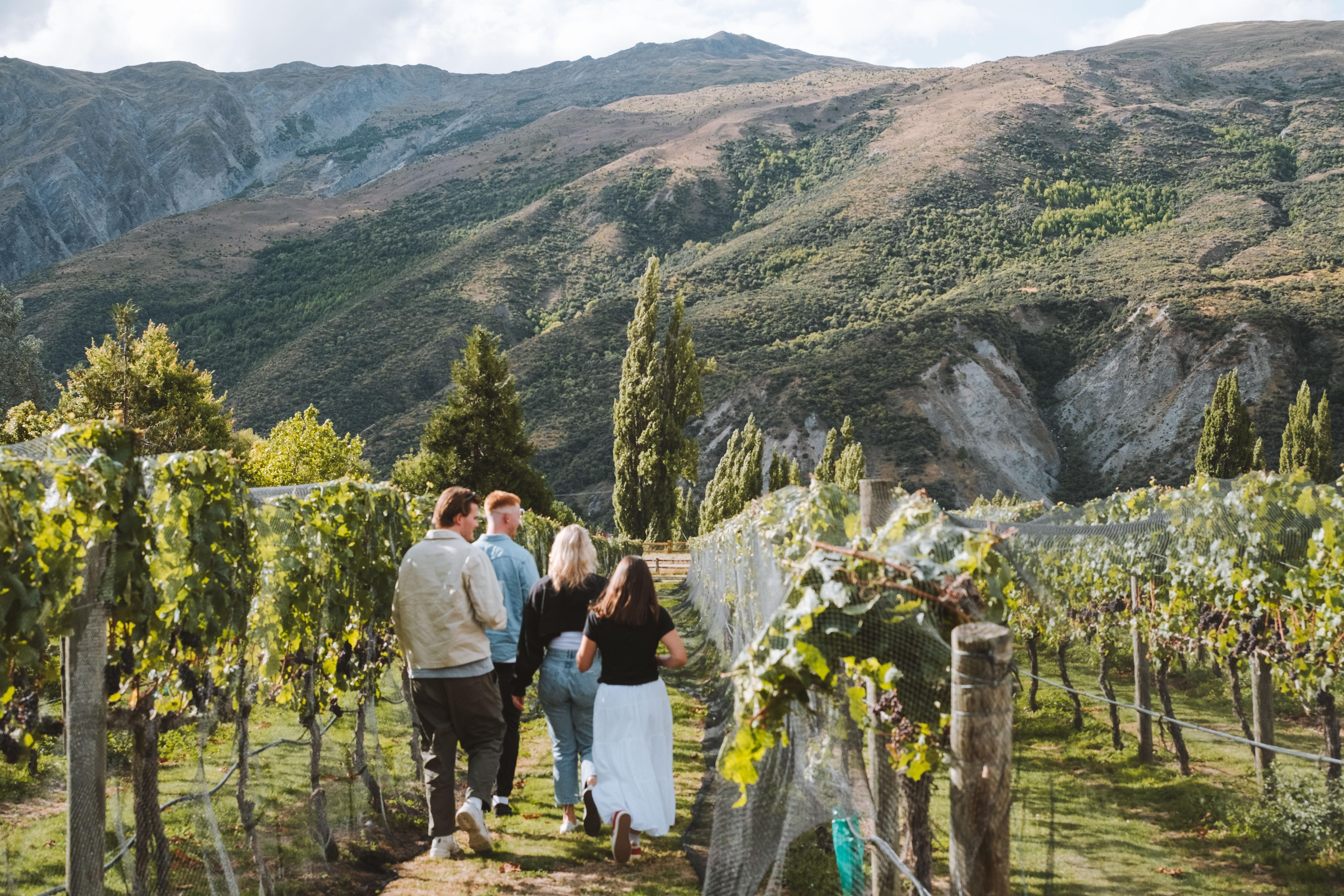 Queenstown Small-Group Gibbston Valley Wine Tour