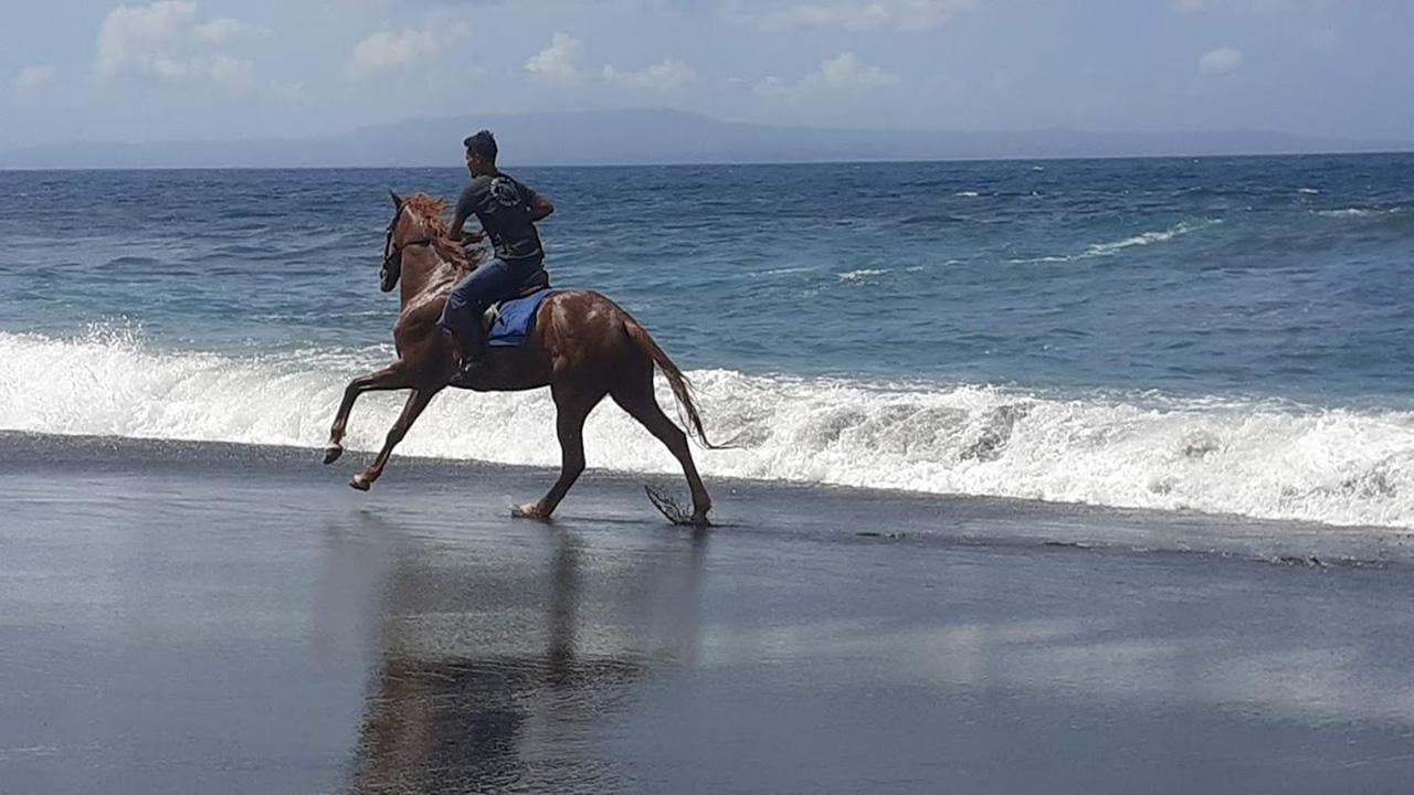 Bali ATV & Beach Horseback Riding Adventure with Lunch