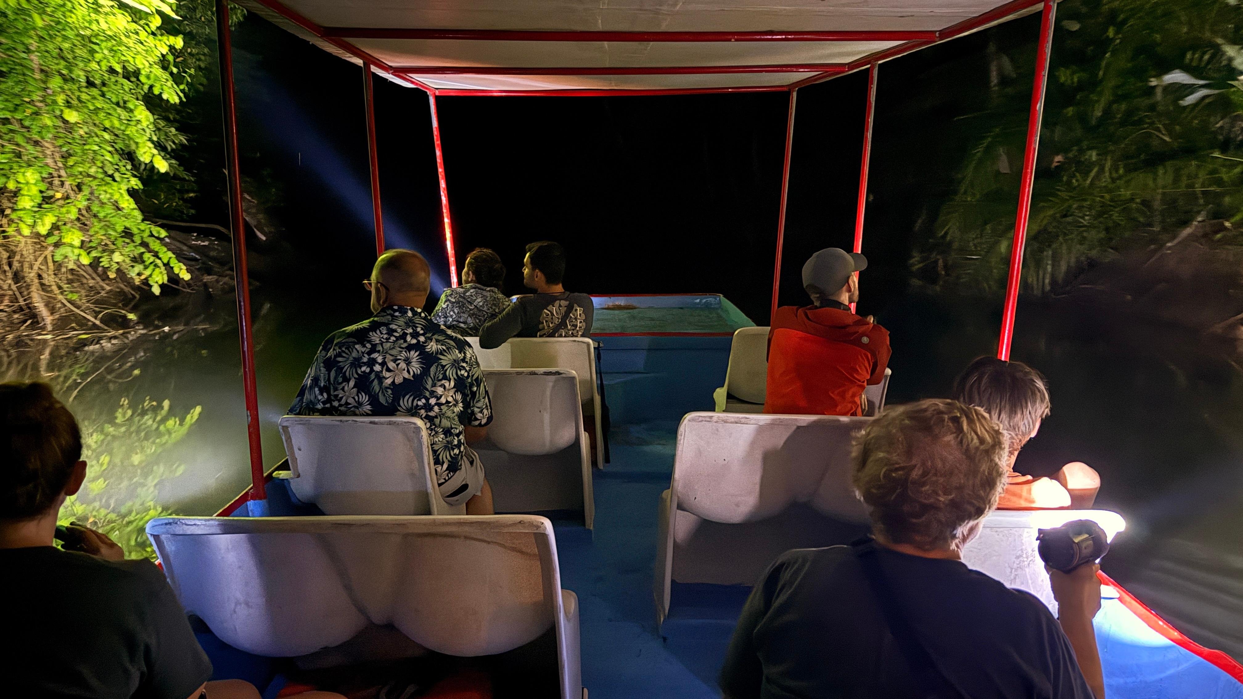 Manuel Antonio Night Mangrove Boat Tour