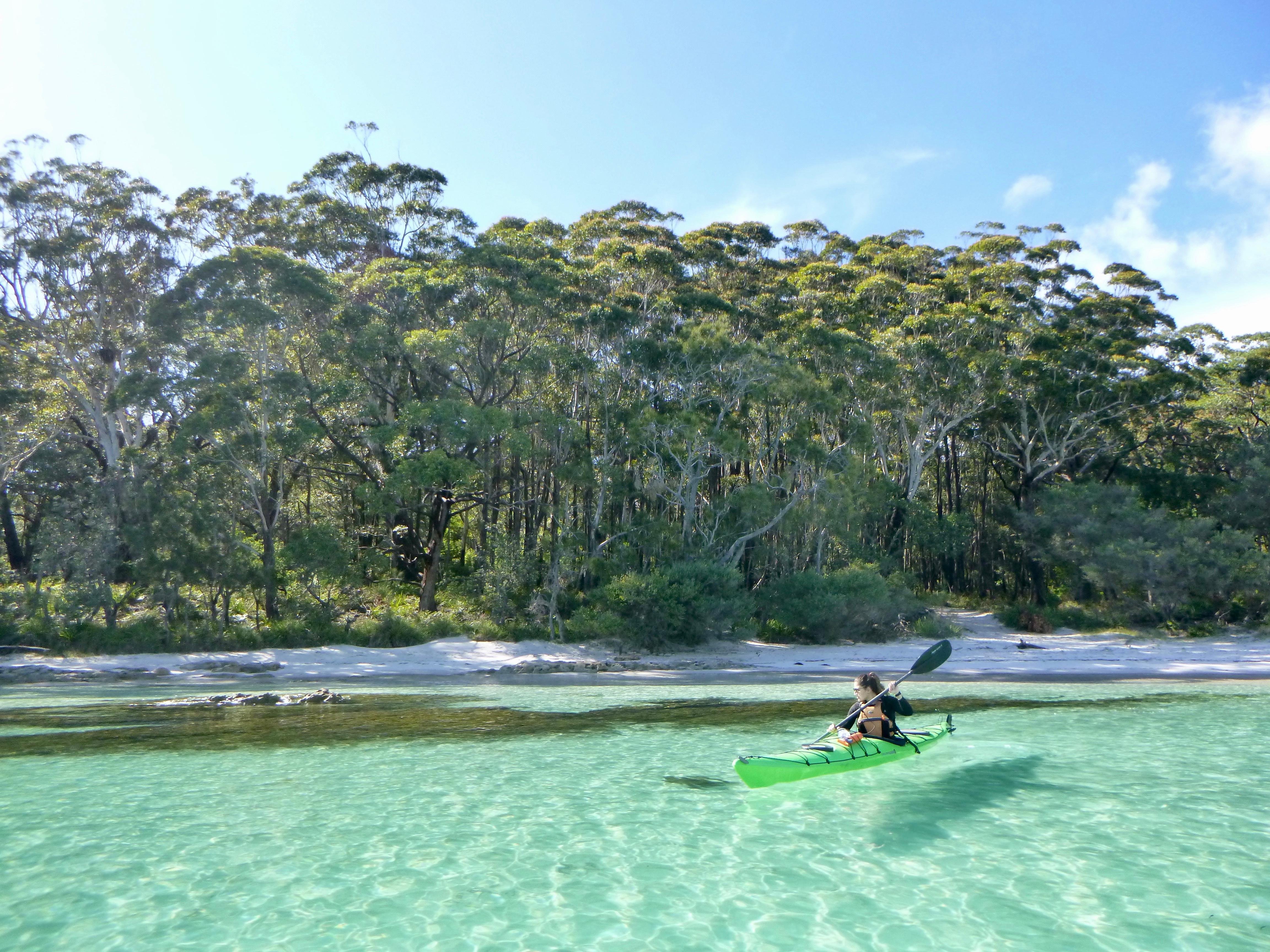 Jervis Bay Full-Day Sea Kayaking Adventure with Morning Tea