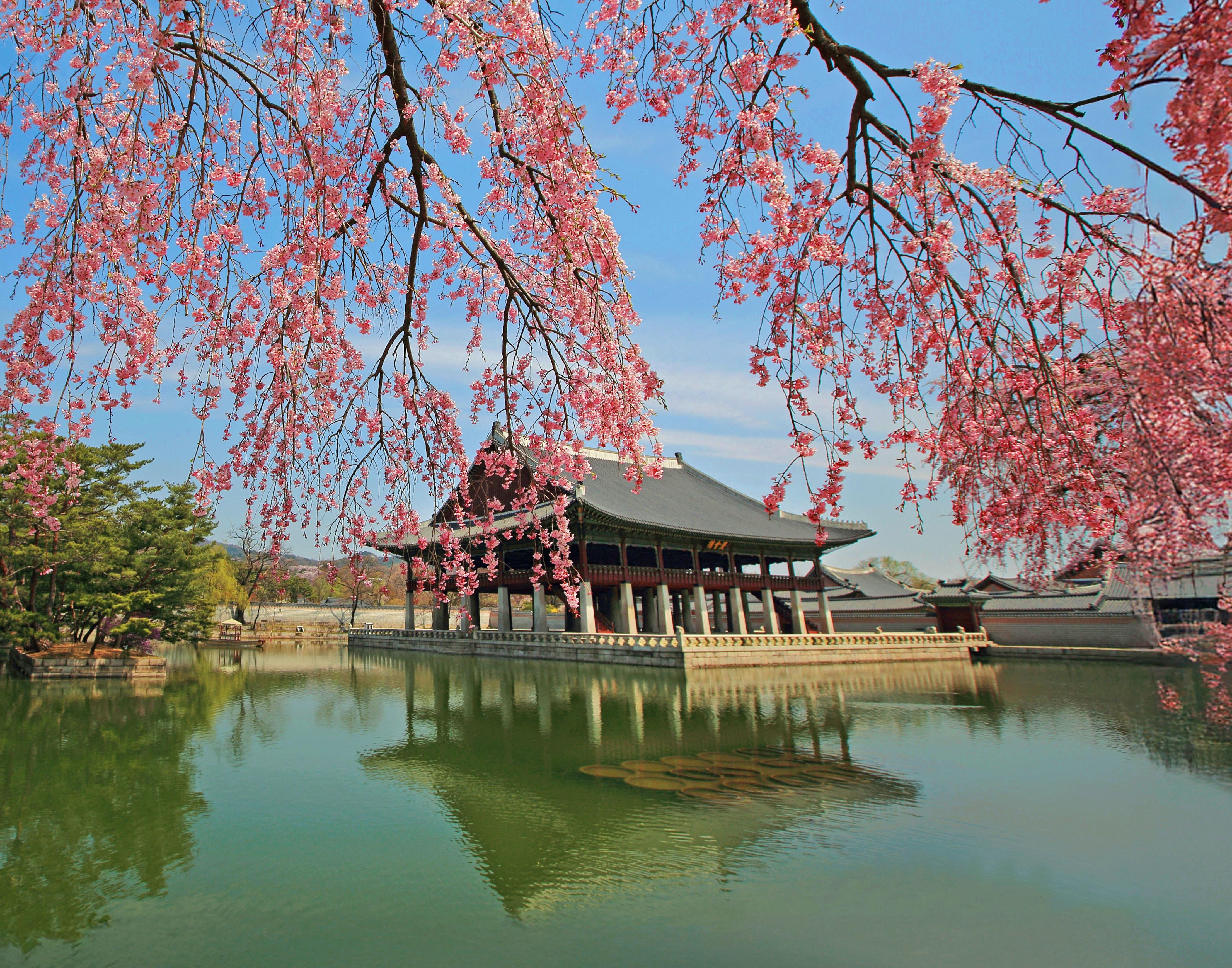 Seoul Highlights: Palaces, Markets & N Seoul Tower