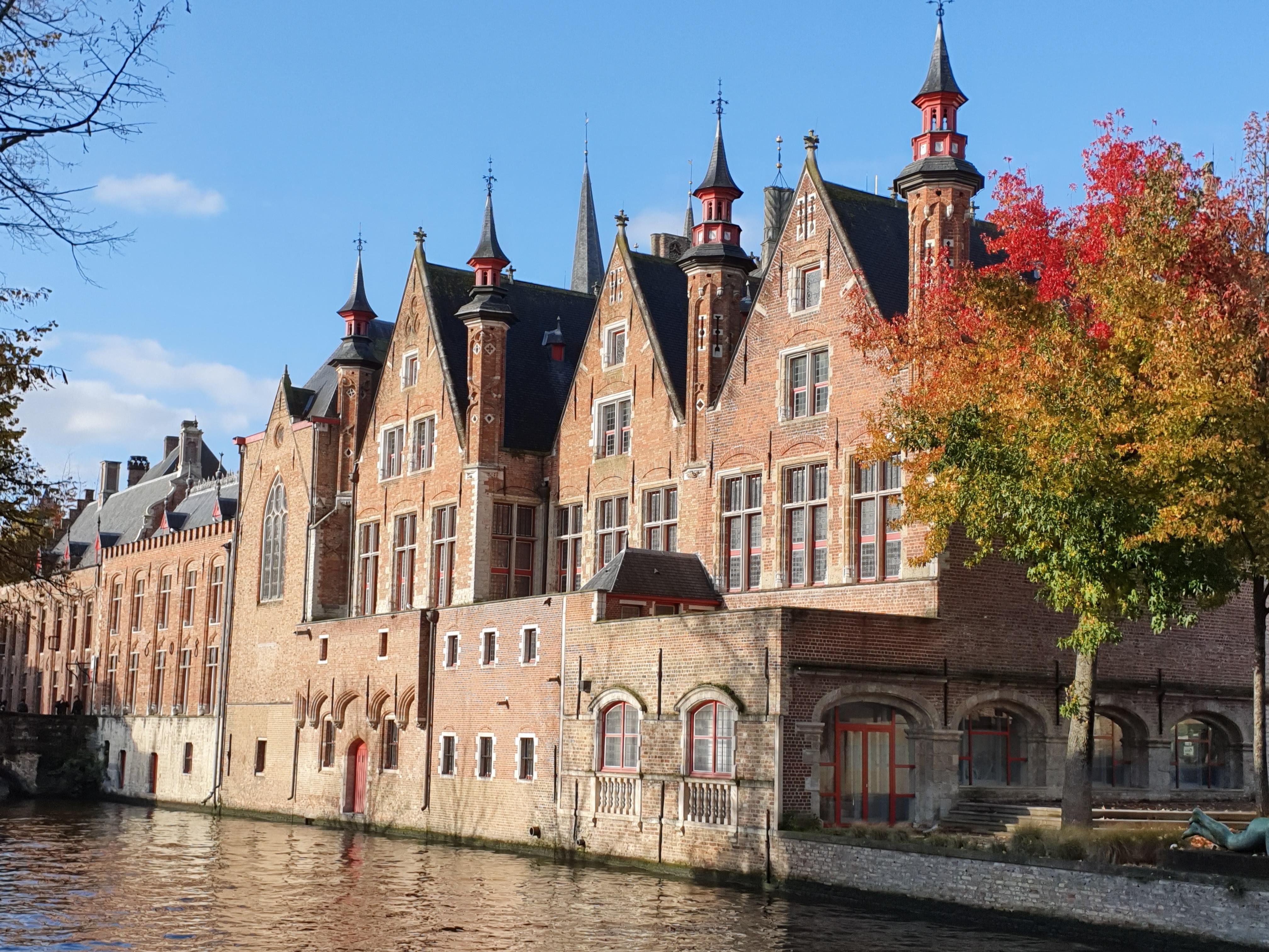 Bruges canal boat tour — medieval canals, low bridges, the Belfry and the Beguinage in the Venice of the North — image 11