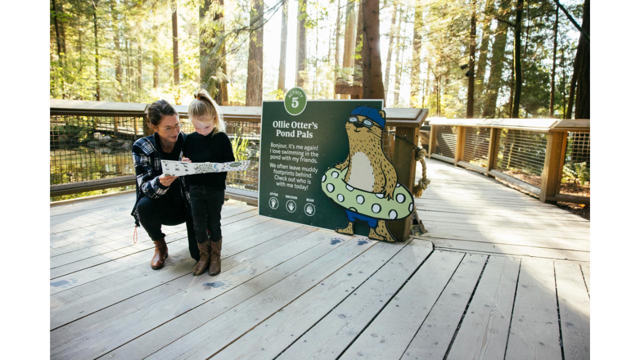 Capilano Suspension Bridge Park Entry