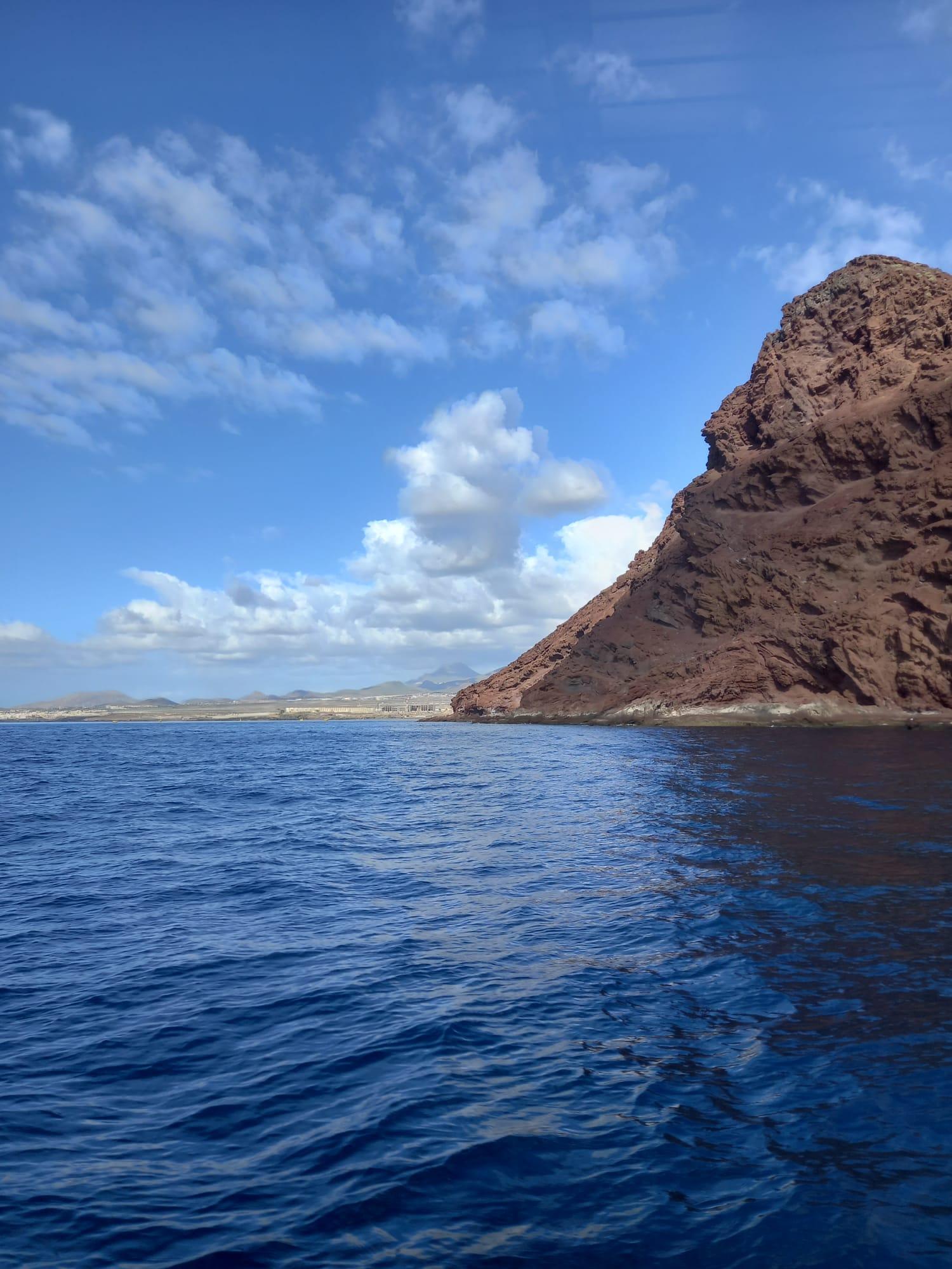 Luxury Whale Watching Safari in South Tenerife