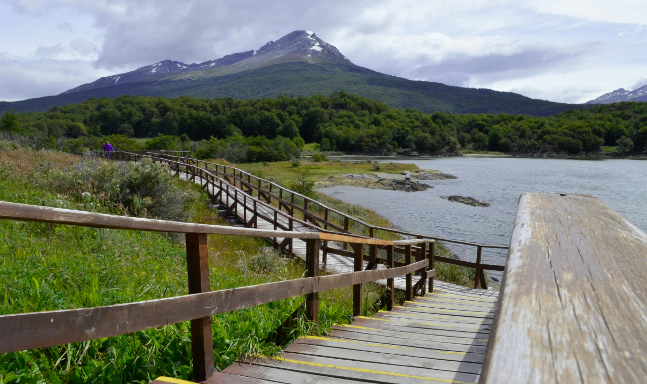 Tierra del Fuego National Park Full-Day Guided Experience