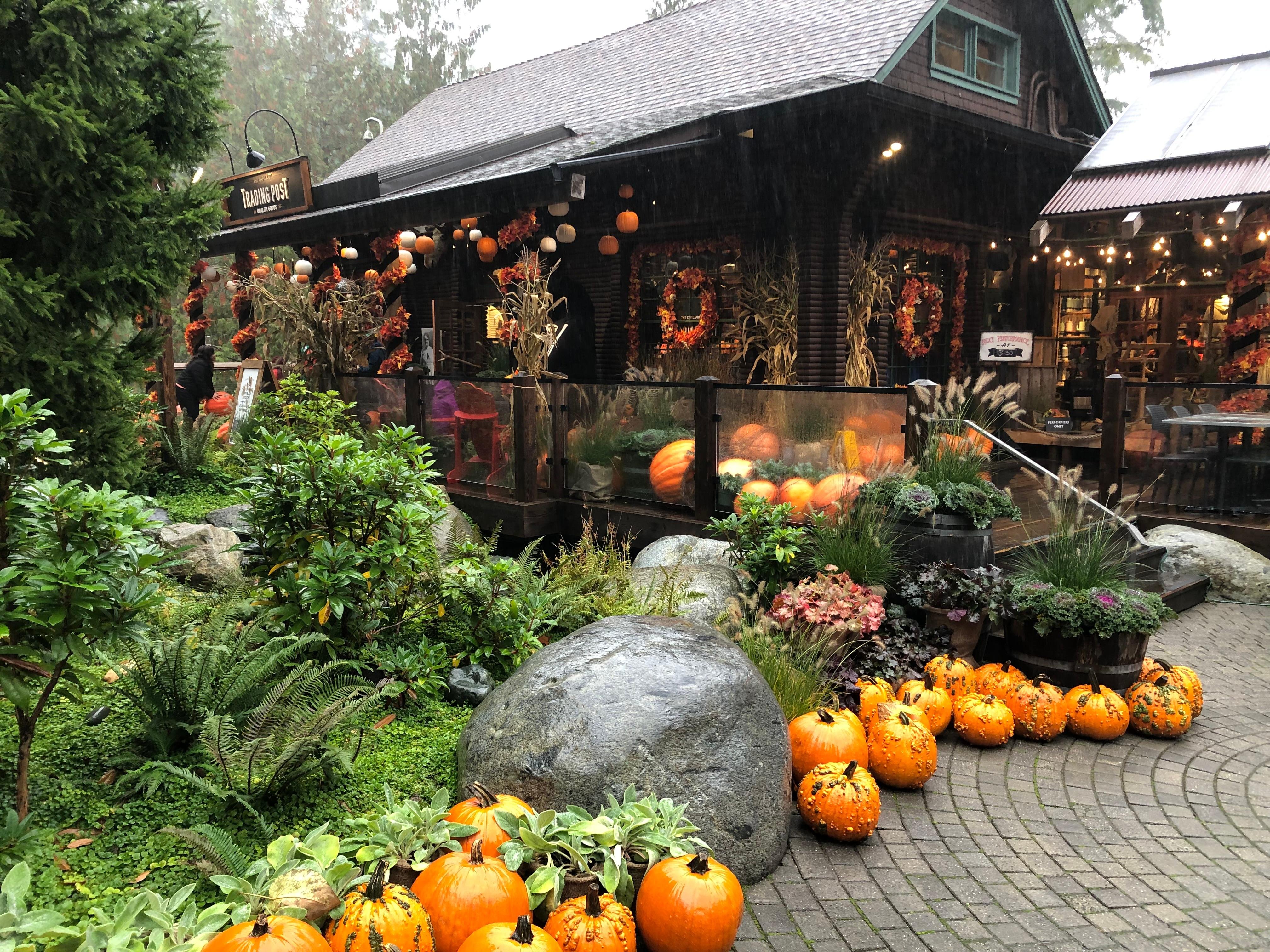 Capilano Suspension Bridge & Stanley Park Small Group Tour
