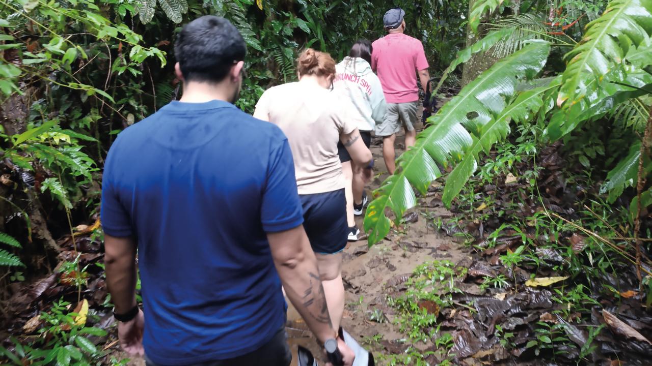 Panama Canal Wildlife Safari: Monkeys, Sloths & Rainforest