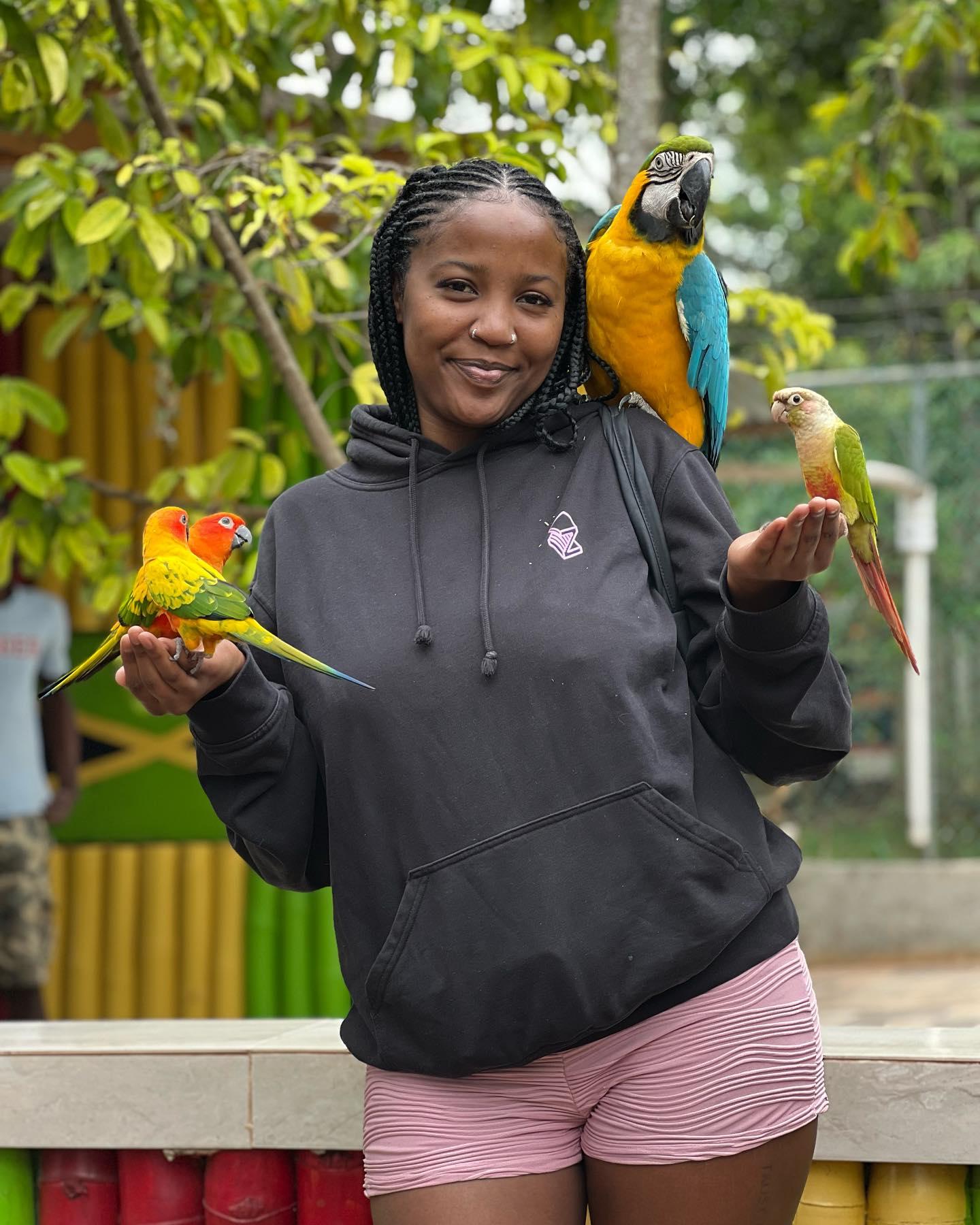 Negril Herb Farm, Mineral Spring, and Rick's Cafe Adventure