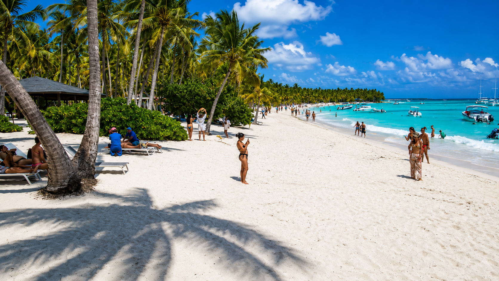 Saona Island Full-Day Adventure from Punta Cana