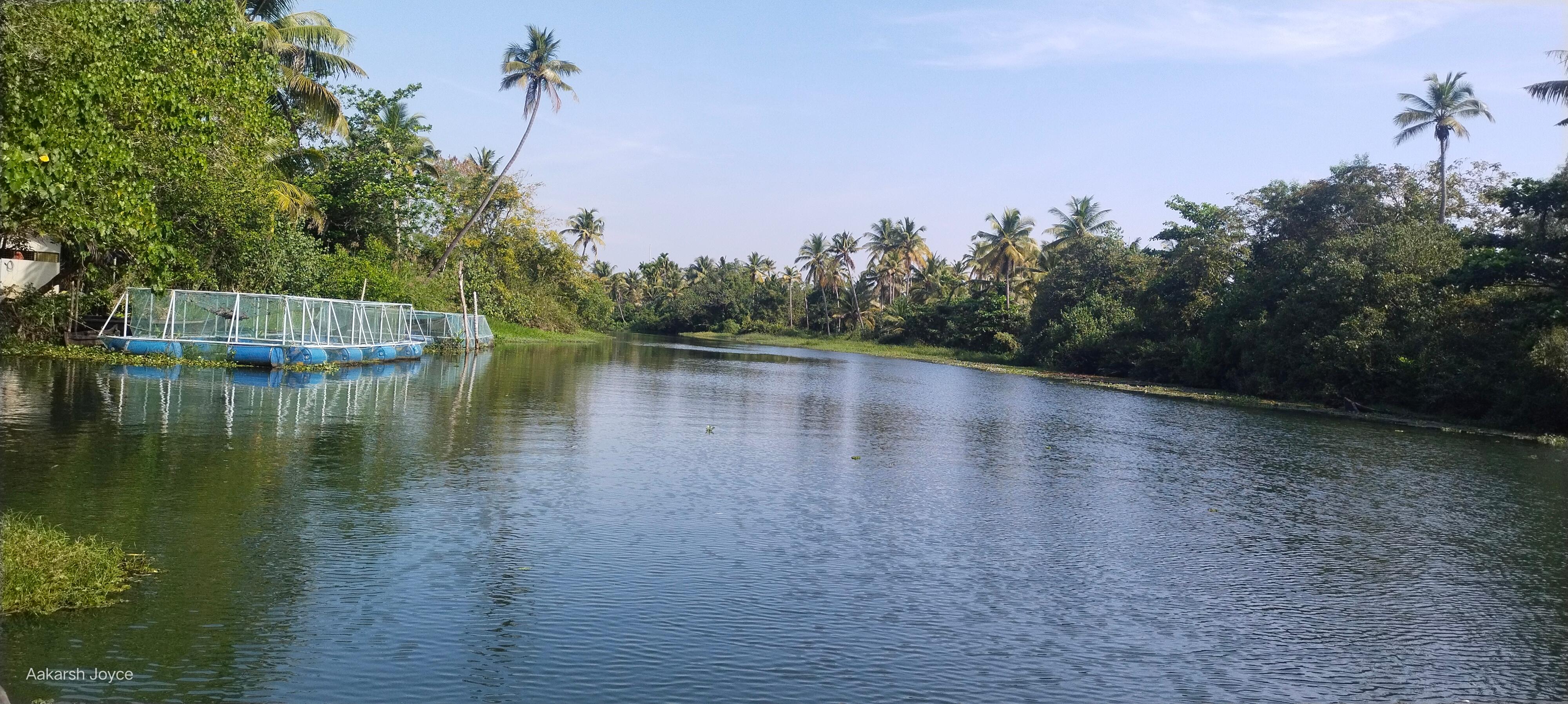 Kochi Backwater Village Immersion with Traditional Sadya Lunch